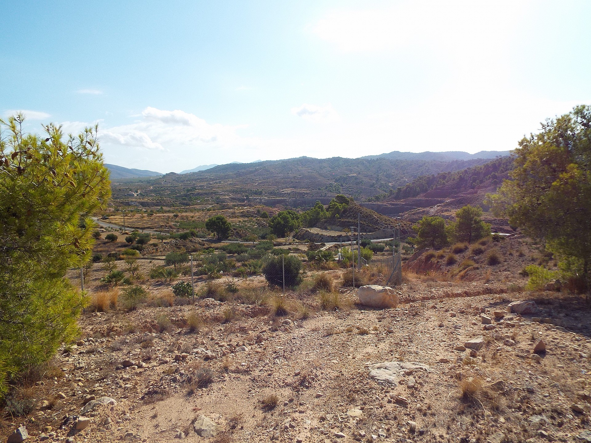 Plot for sale in Guardamar and surroundings 11