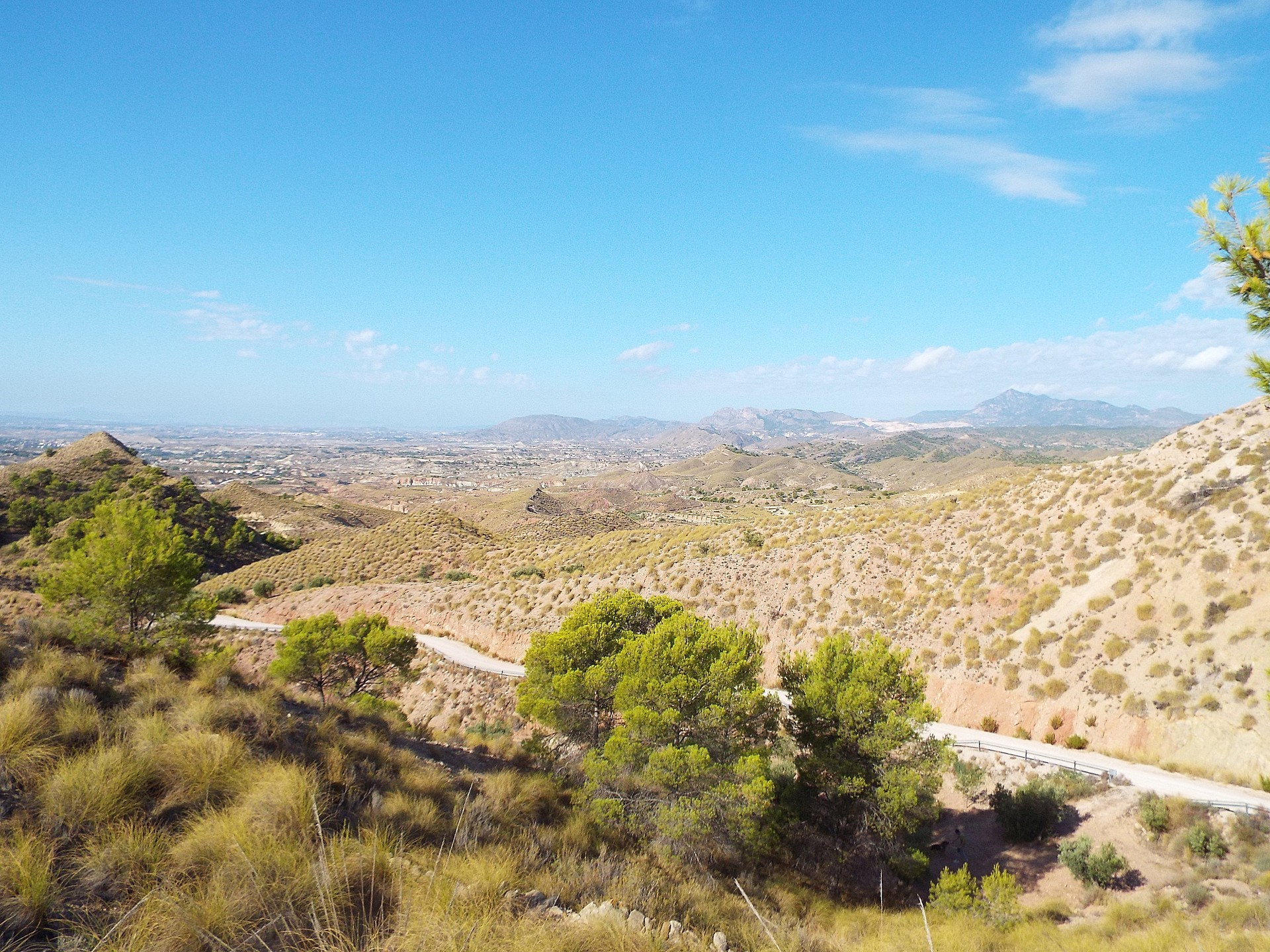 Plot en venta en Guardamar and surroundings 2