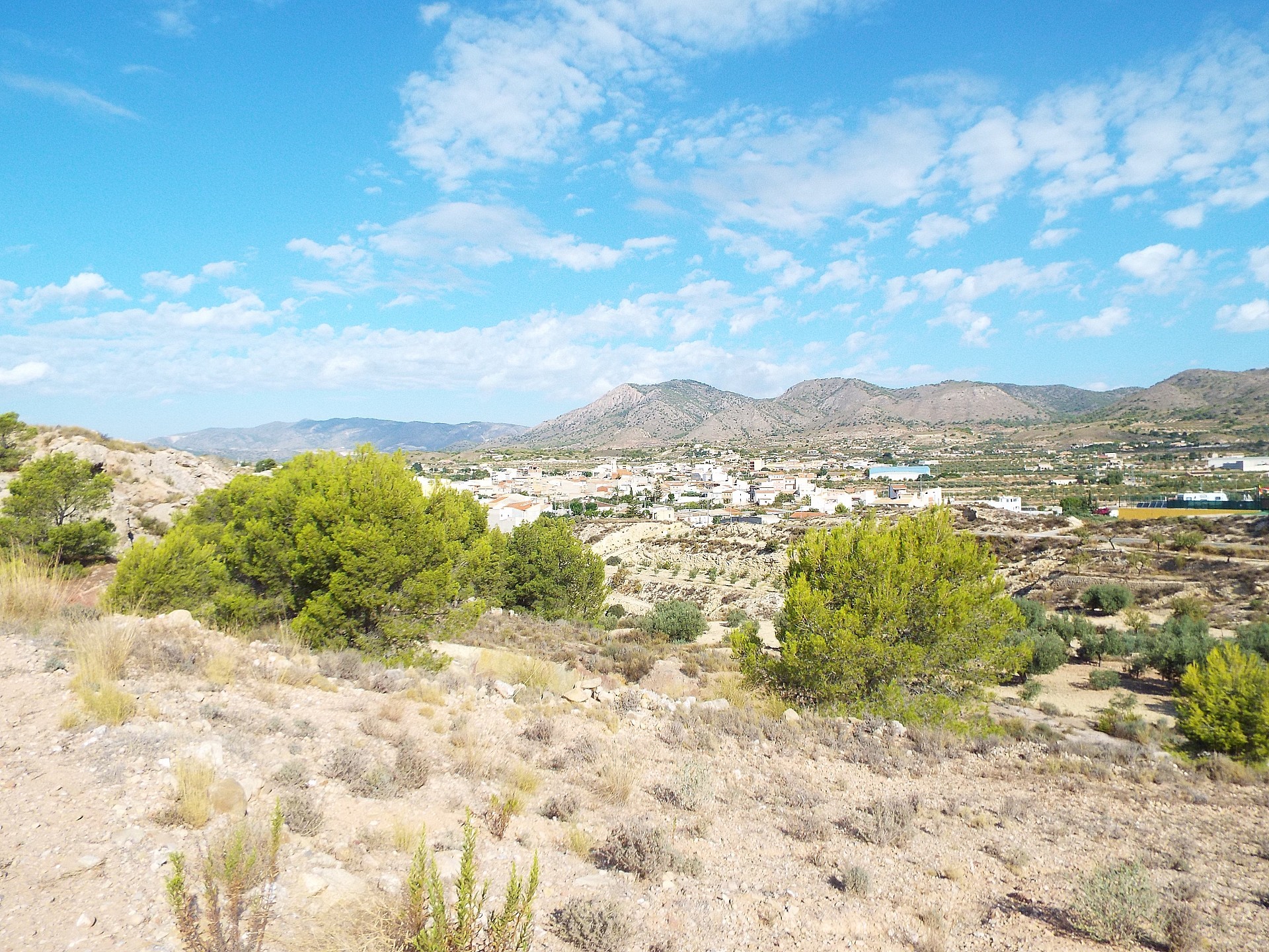 Plot for sale in Guardamar and surroundings 8