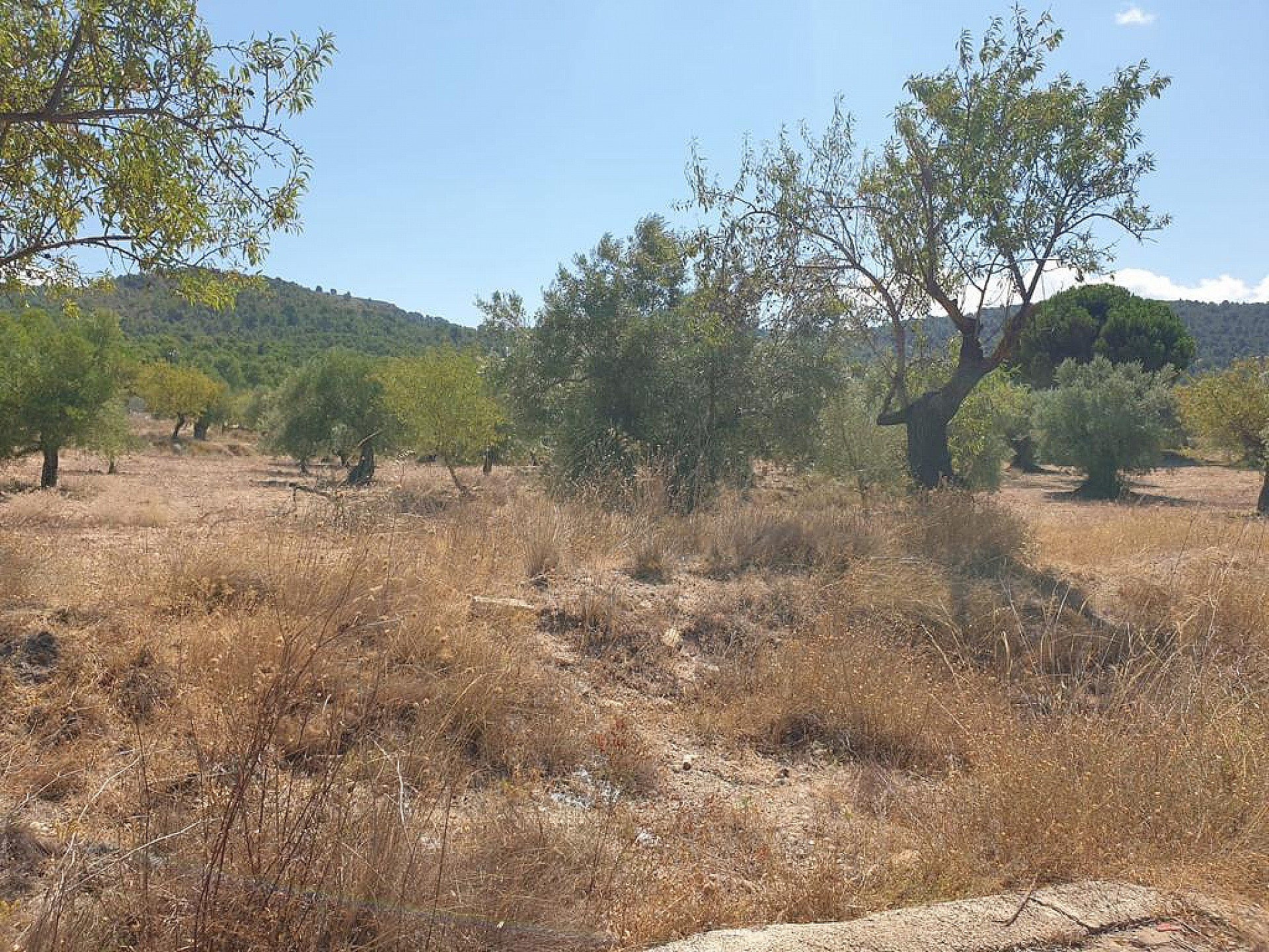 Plot for sale in Alicante 3