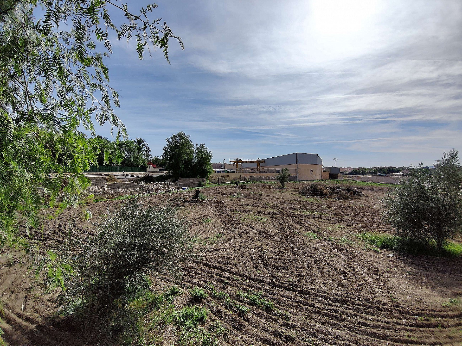 Maison de campagne à vendre à Alicante 6