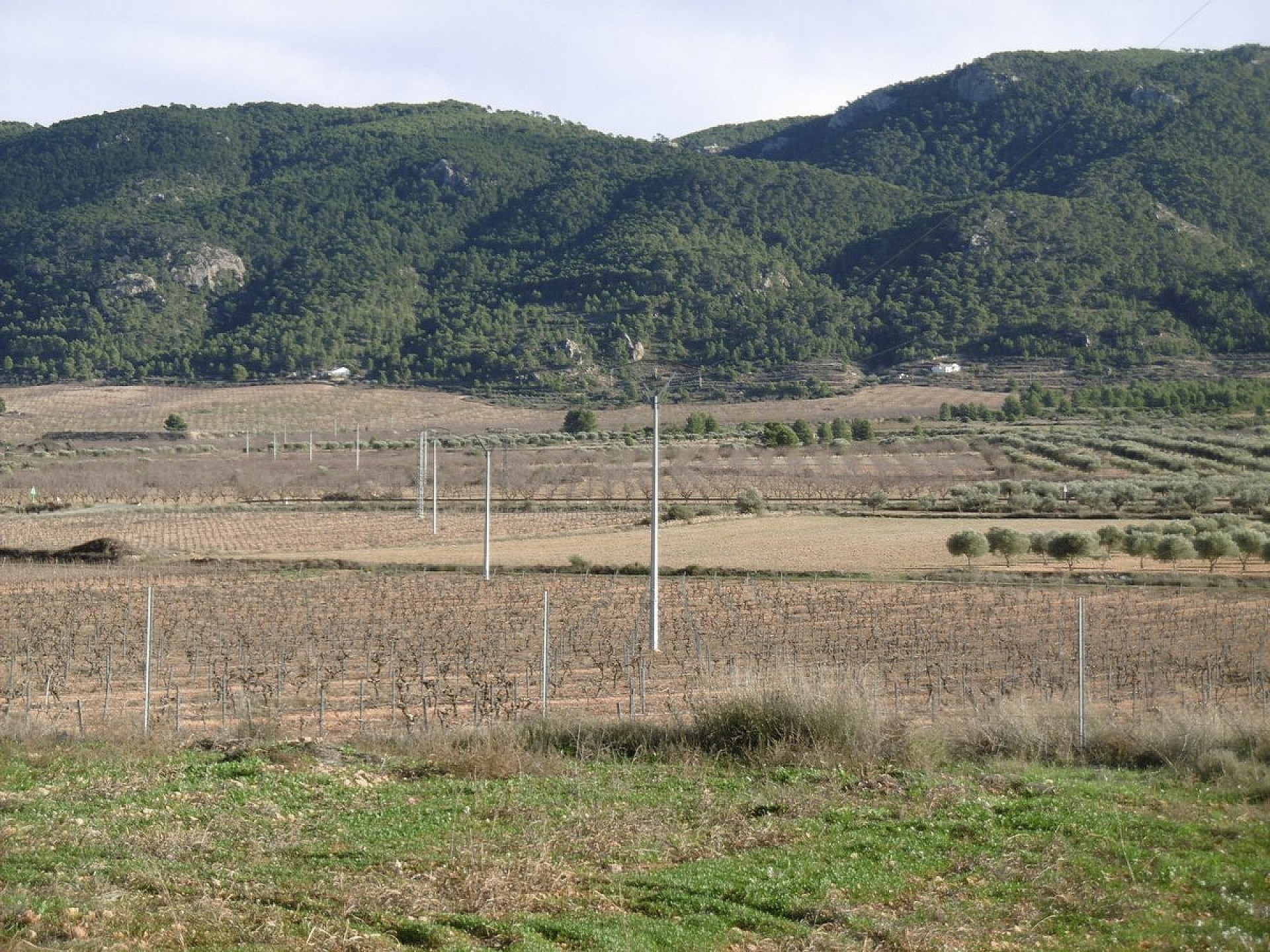 Willa na sprzedaż w Guardamar and surroundings 9