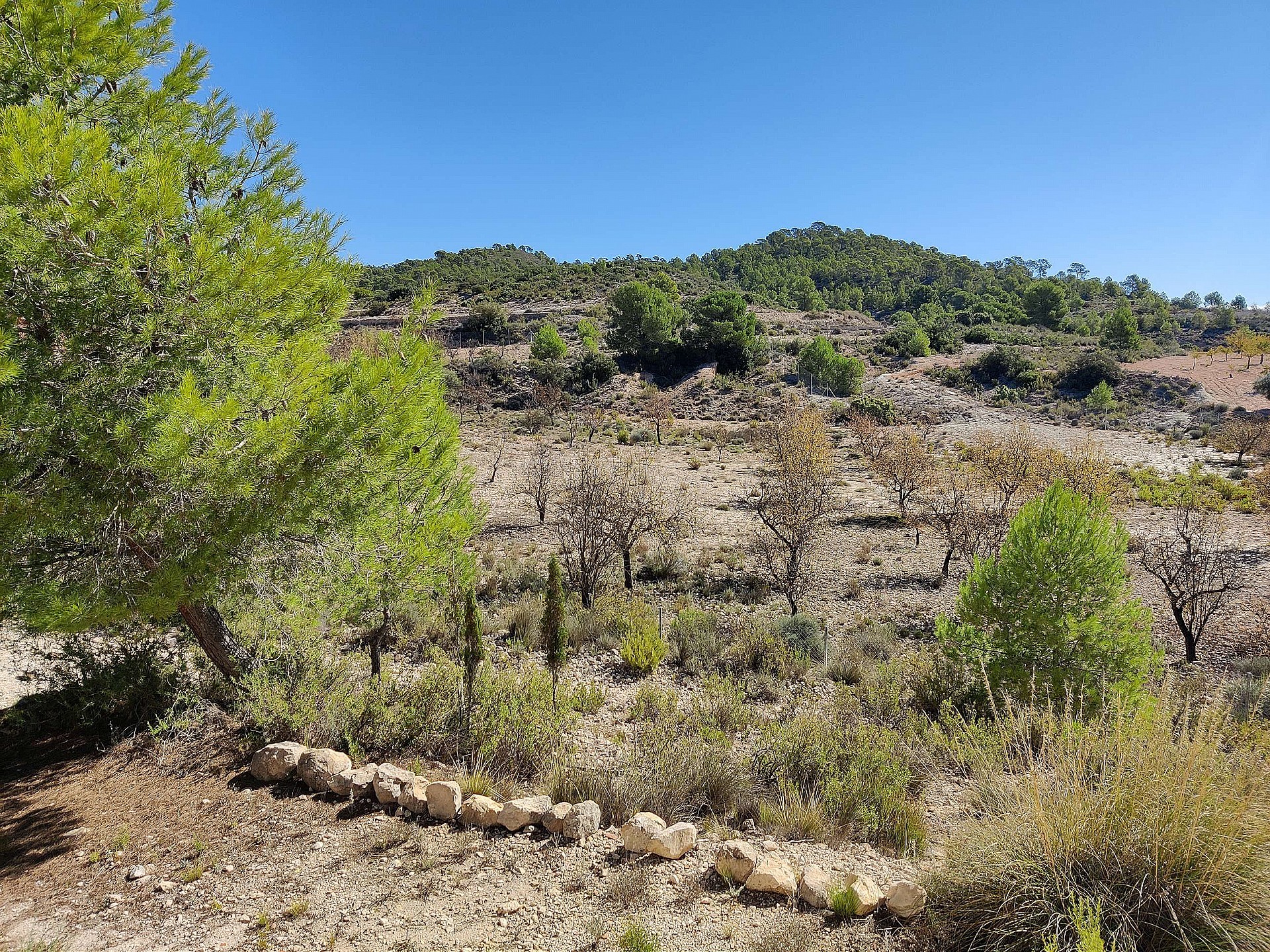 Countryhome for sale in Alicante 2