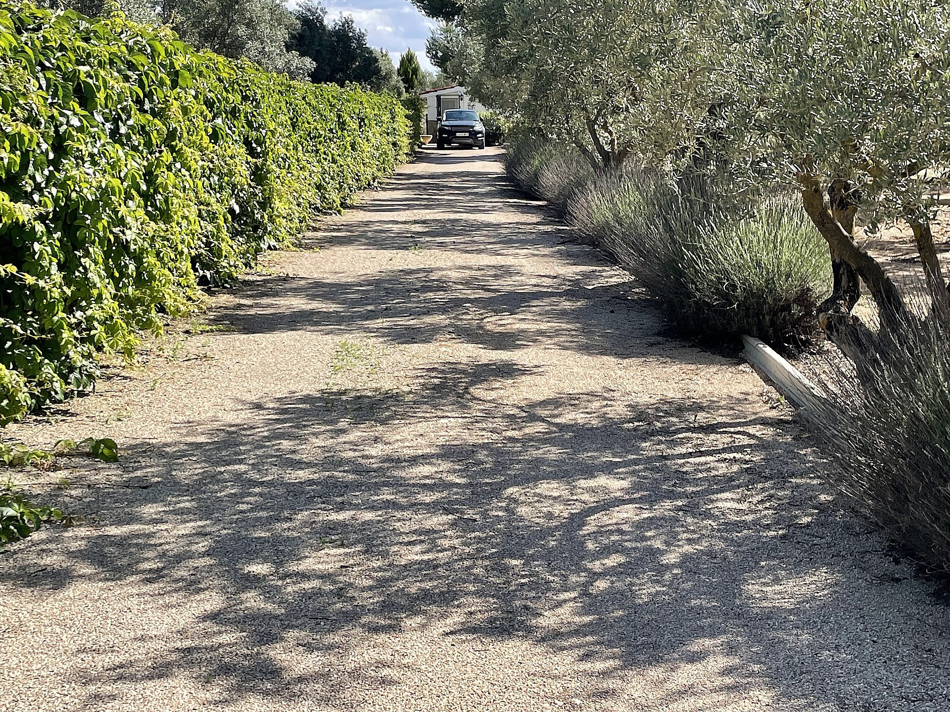 Hus på landet till salu i Alicante 17