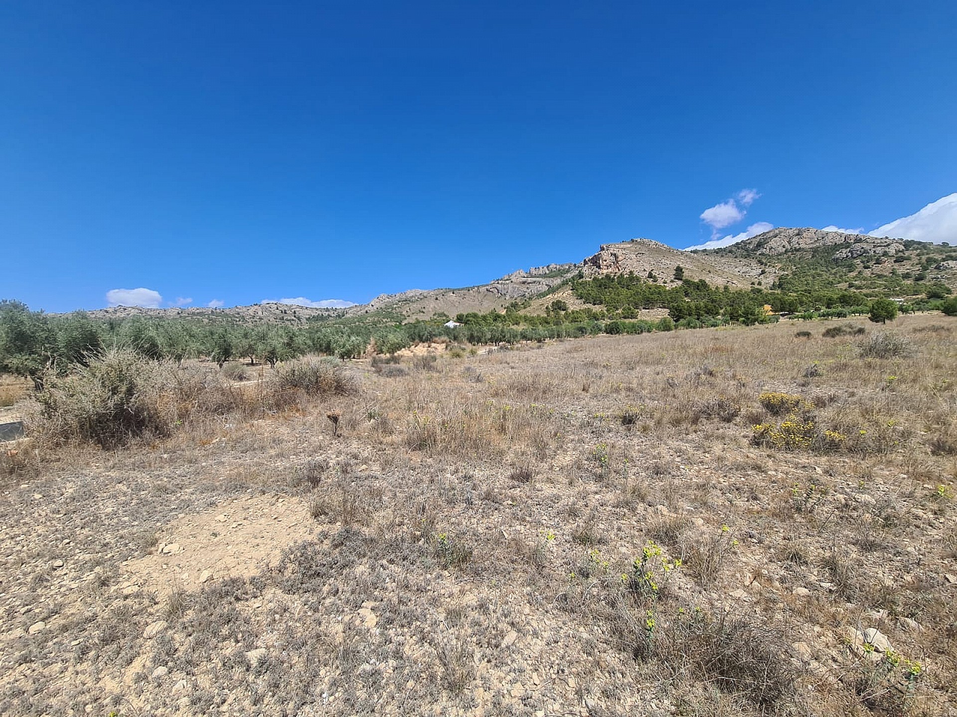 Plot for sale in Alicante 1