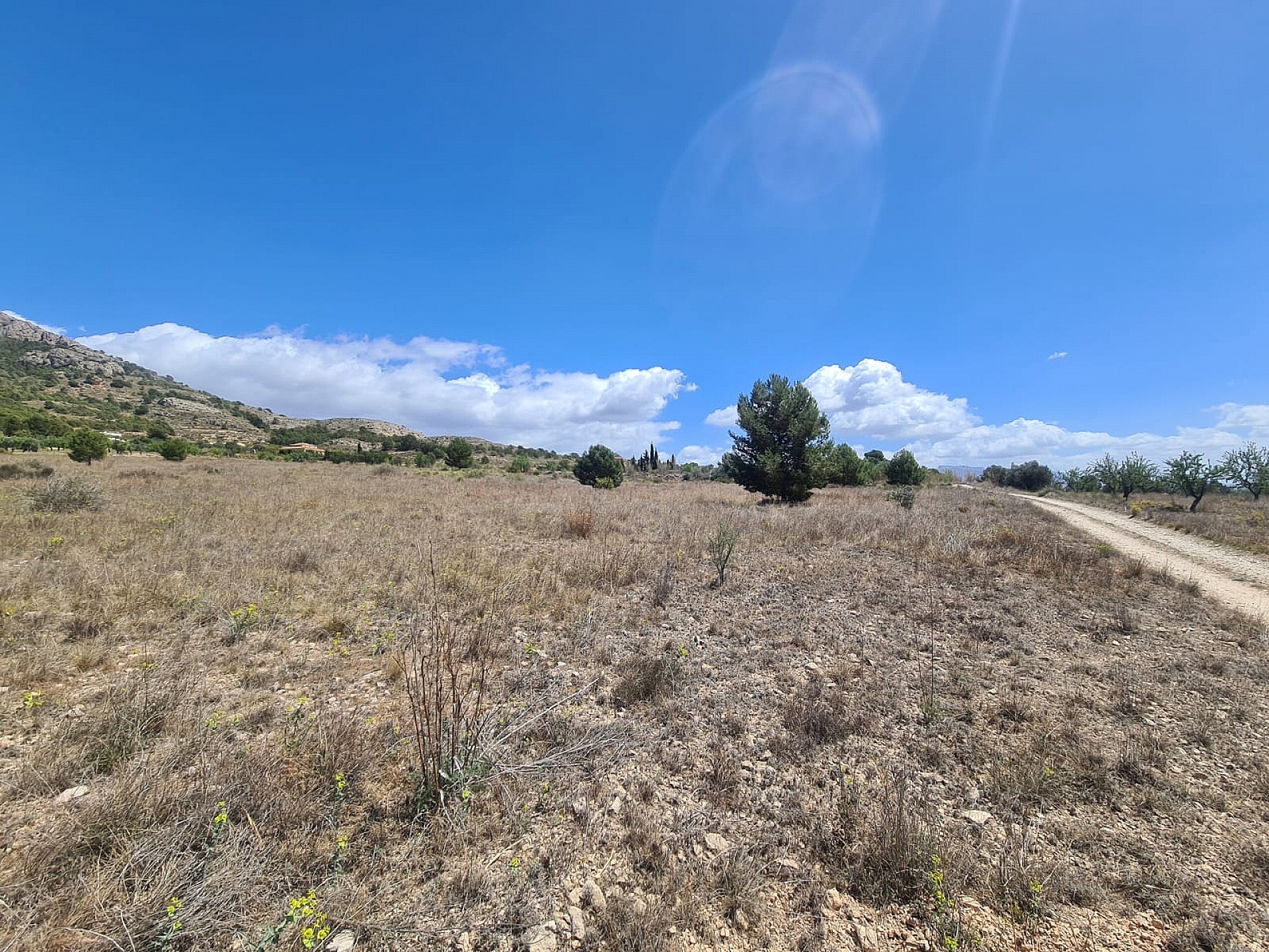 Plot for sale in Alicante 3