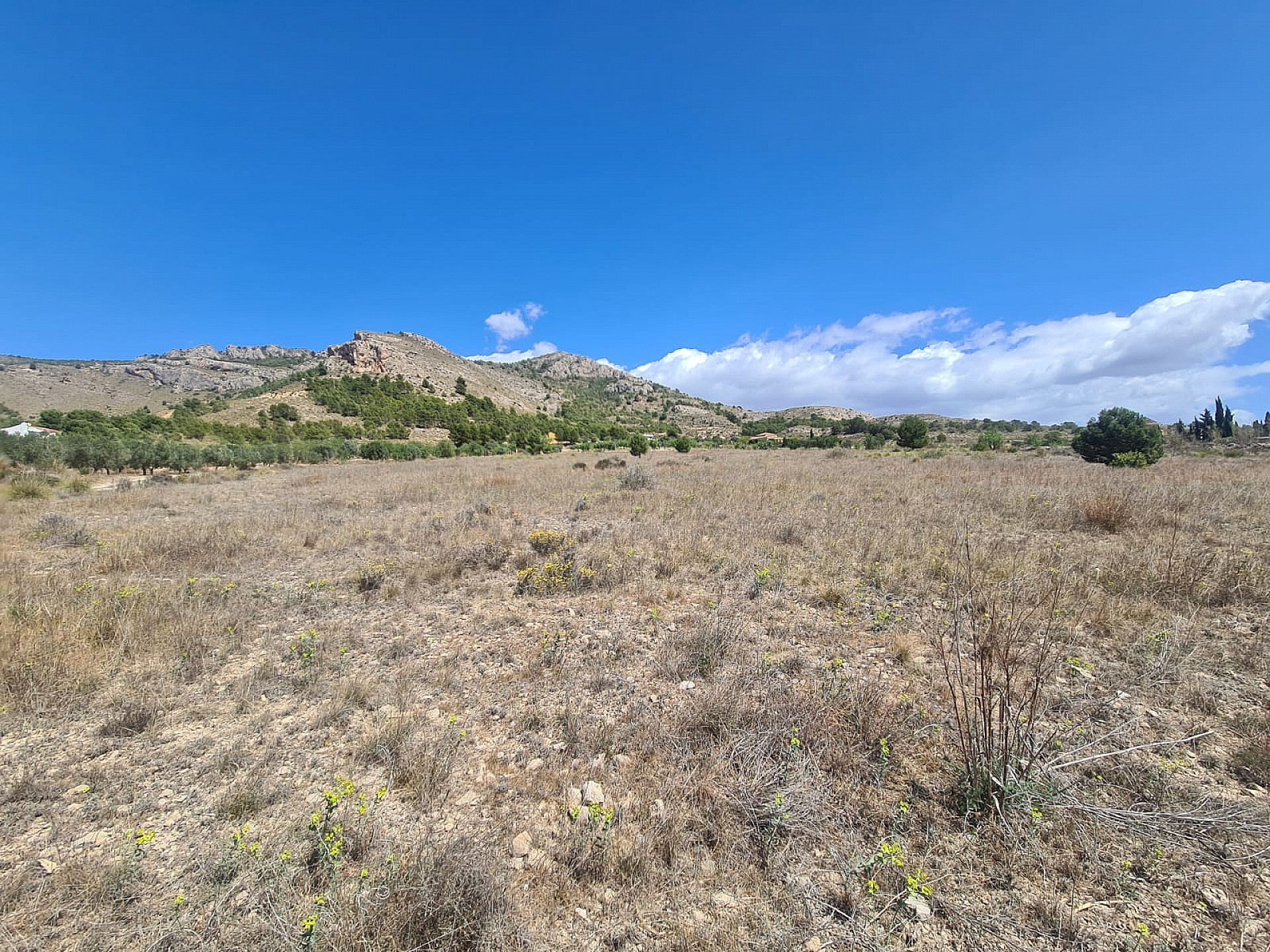 Plot for sale in Alicante 4