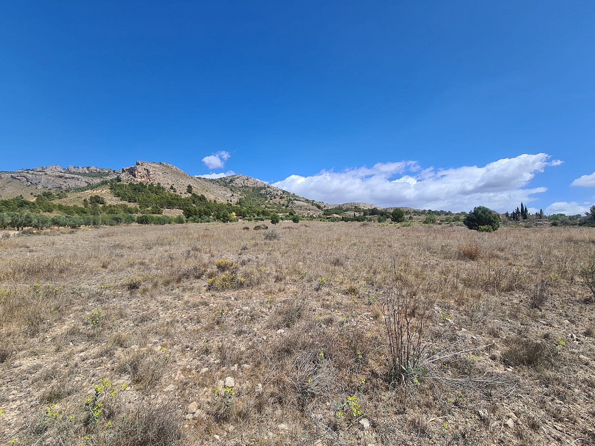 Plot for sale in Alicante 5