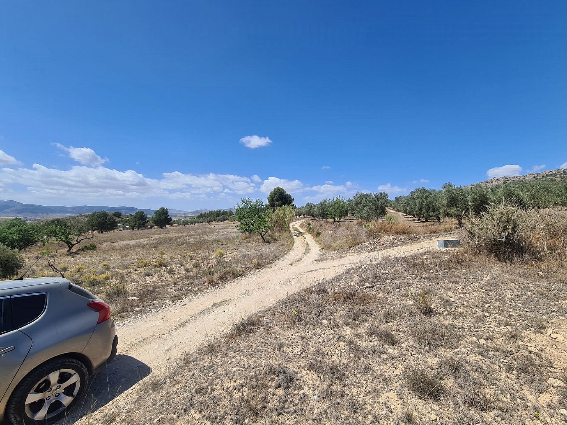 Plot for sale in Alicante 6