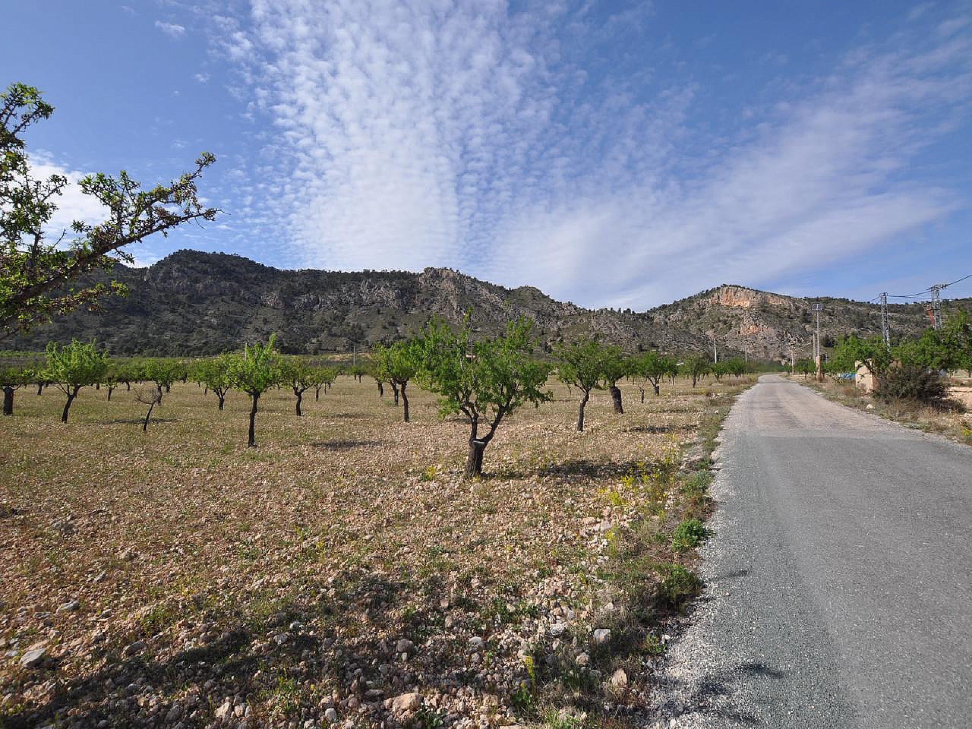 Plot for sale in Alicante 7