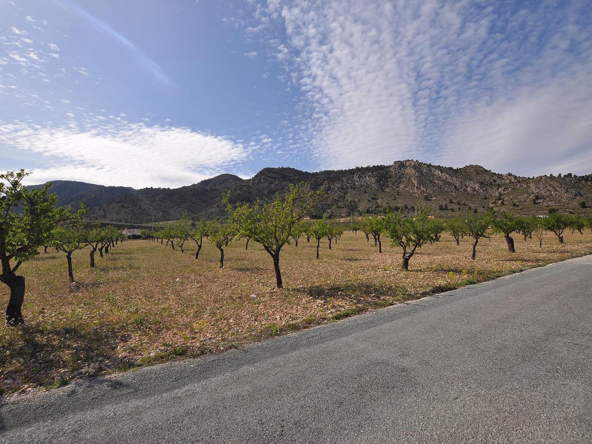 Plot for sale in Alicante 8