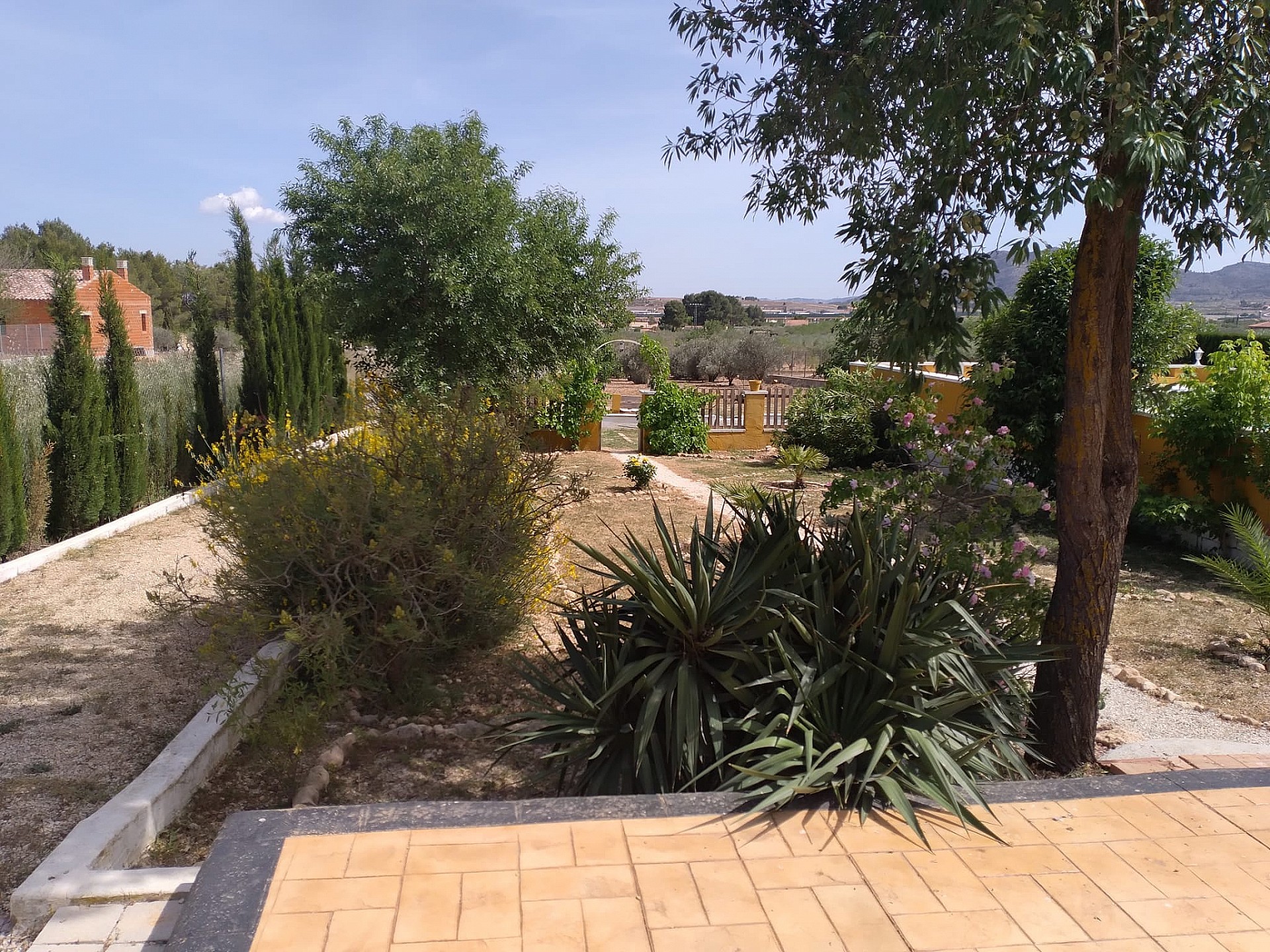 Villa te koop in Guardamar and surroundings 62