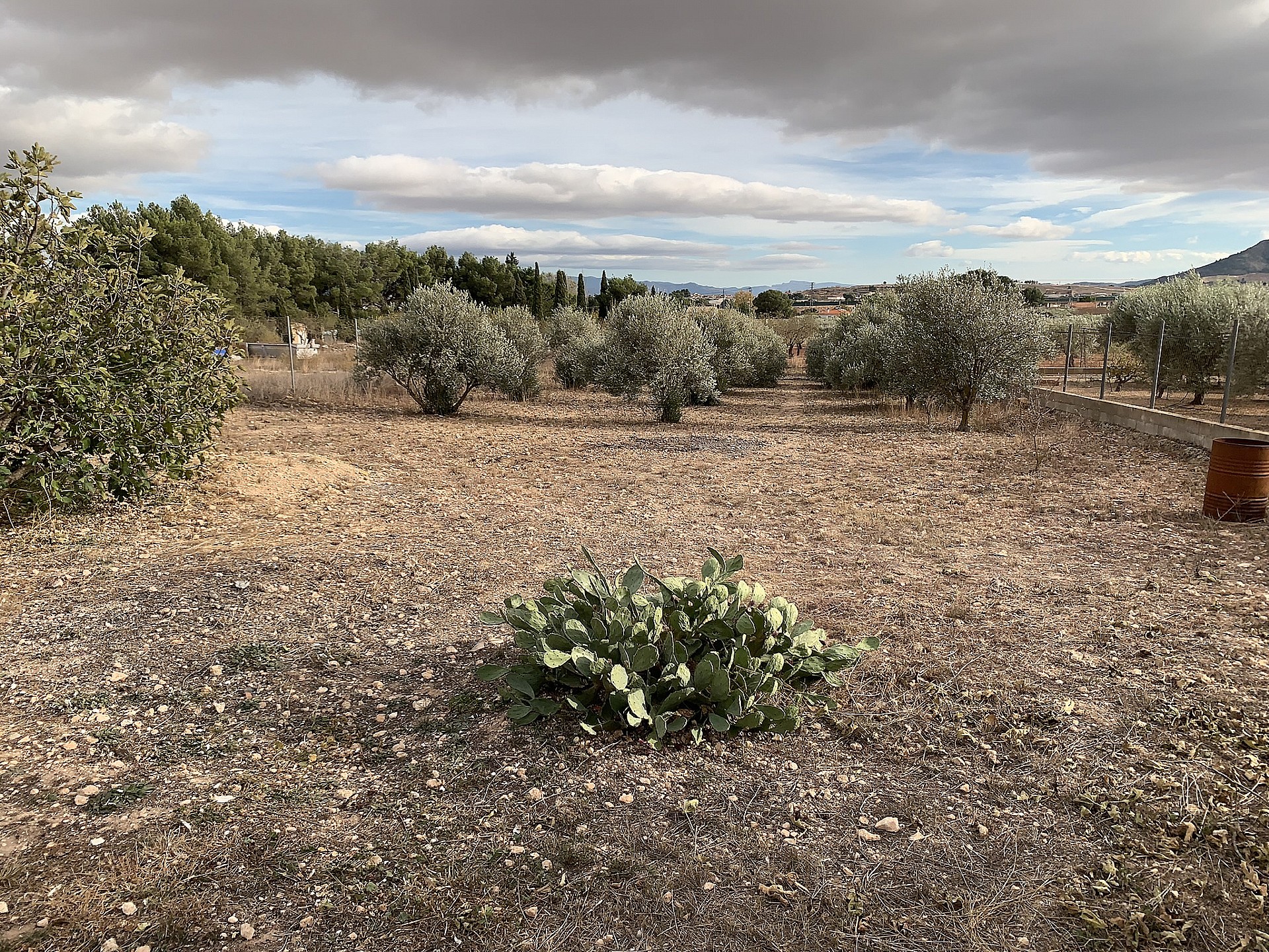 Villa à vendre à Guardamar and surroundings 67