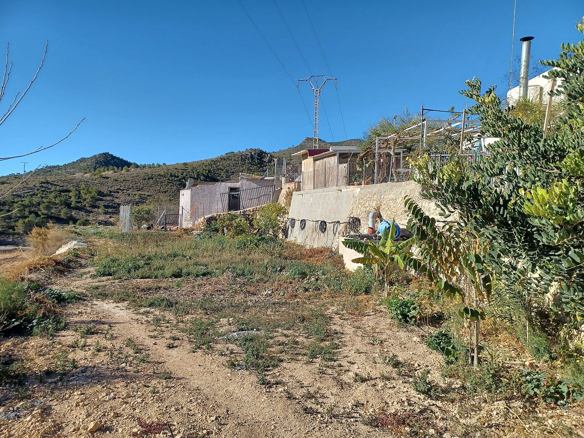 Countryhome te koop in Guardamar and surroundings 2