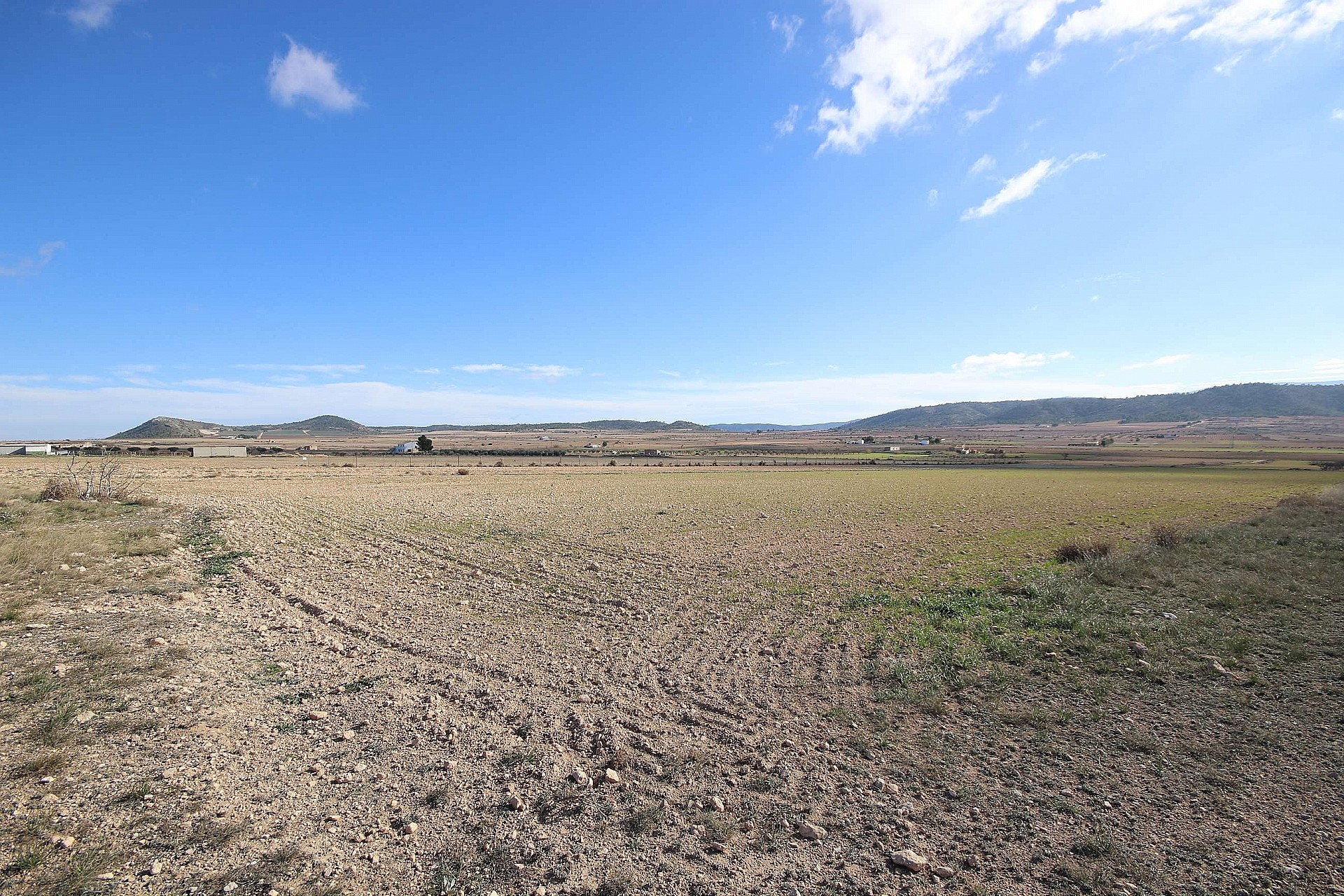 Plot à vendre à Guardamar and surroundings 3