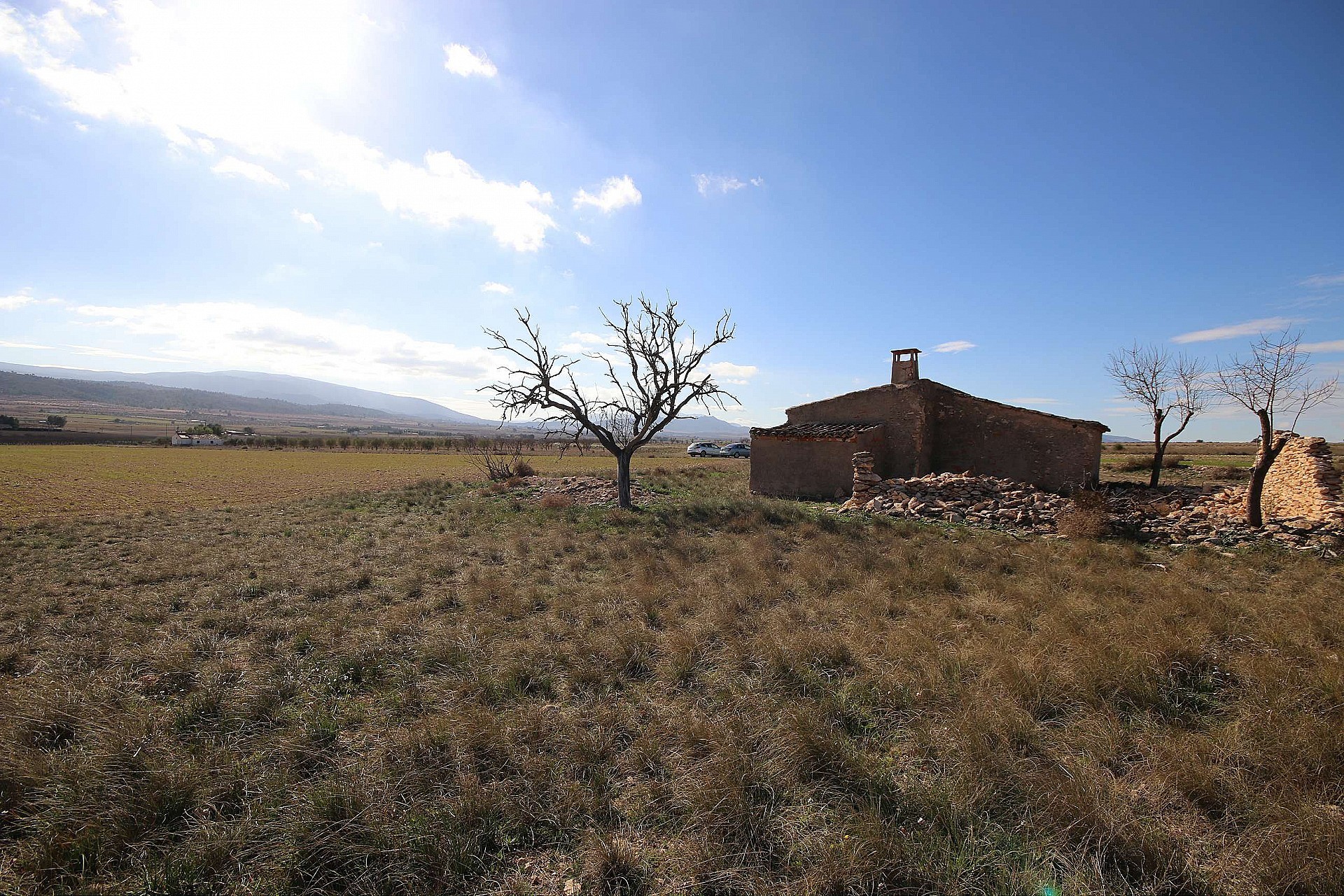 Plot à vendre à Guardamar and surroundings 5