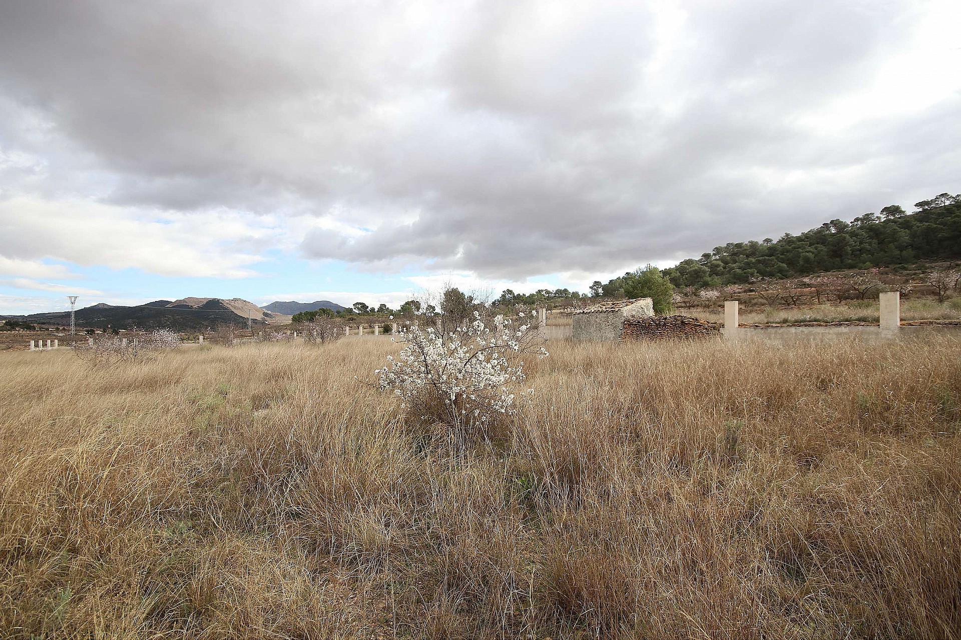 Plot à vendre à Guardamar and surroundings 5