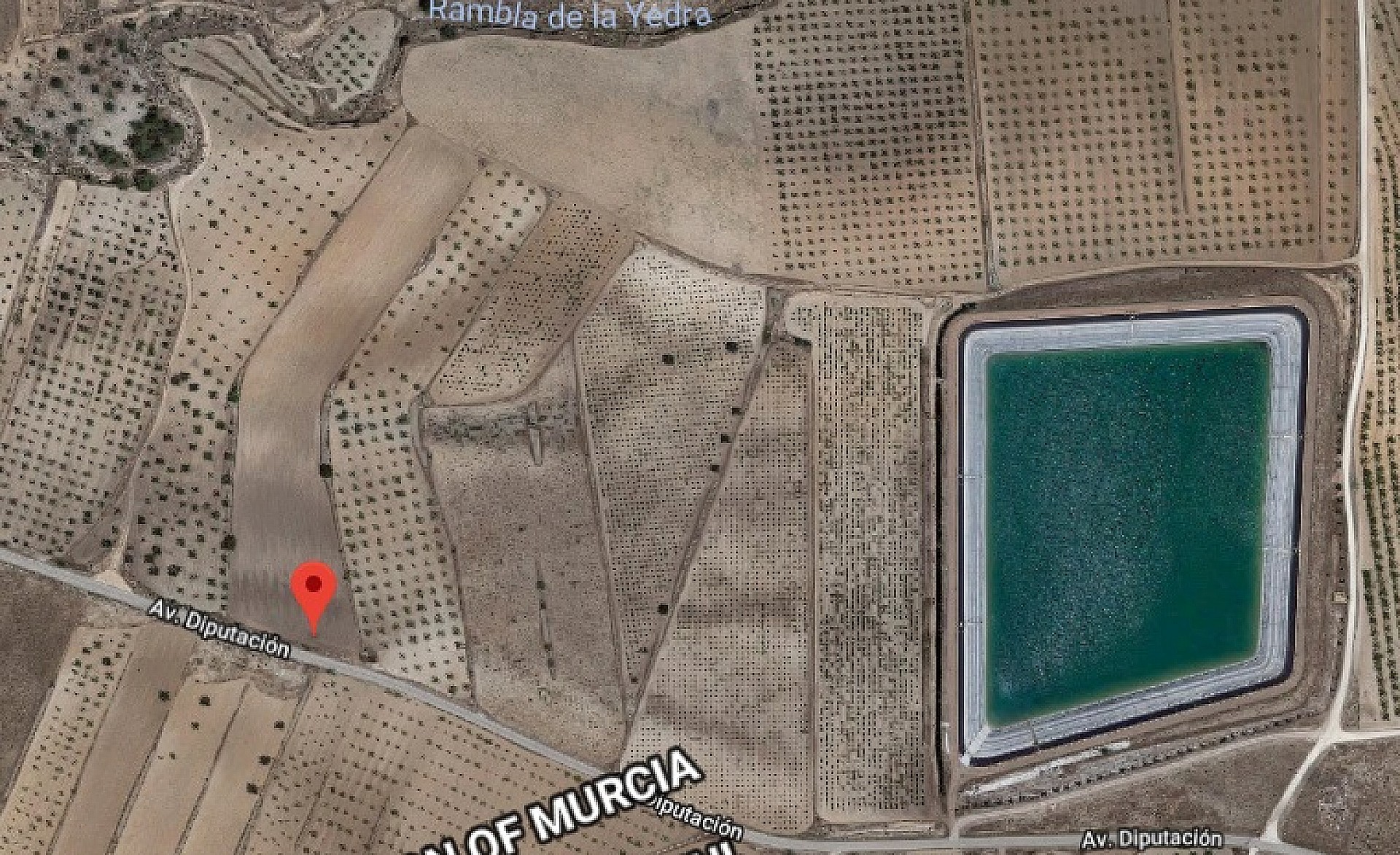 Property Image 518812-pinoso-plot