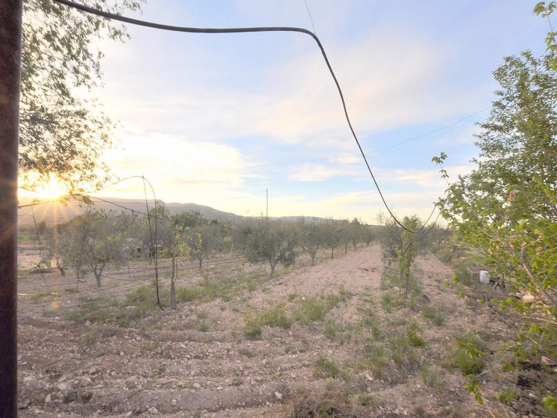 Casas de Campo en venta en Alicante 9