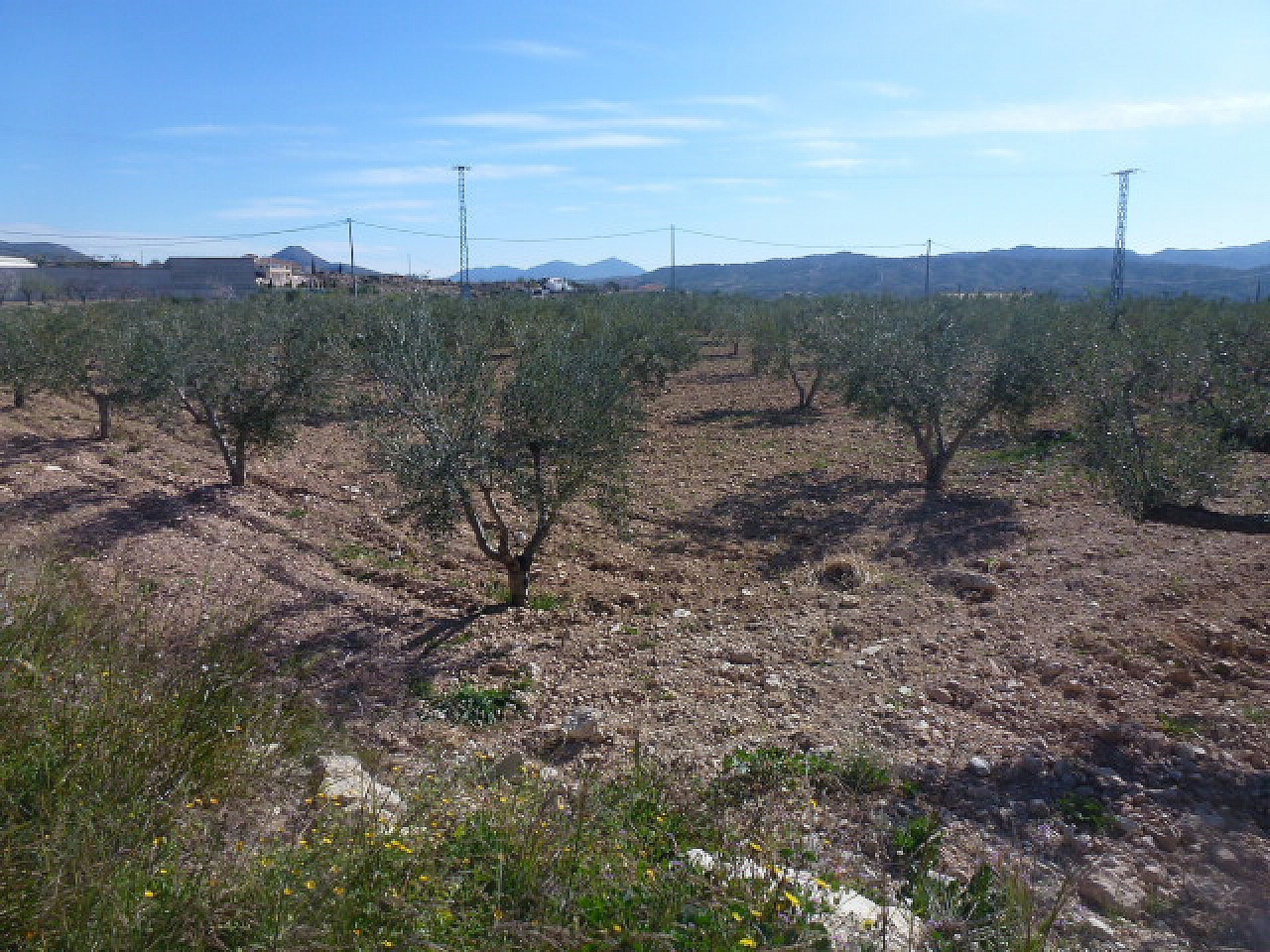 Plot for sale in Guardamar and surroundings 3