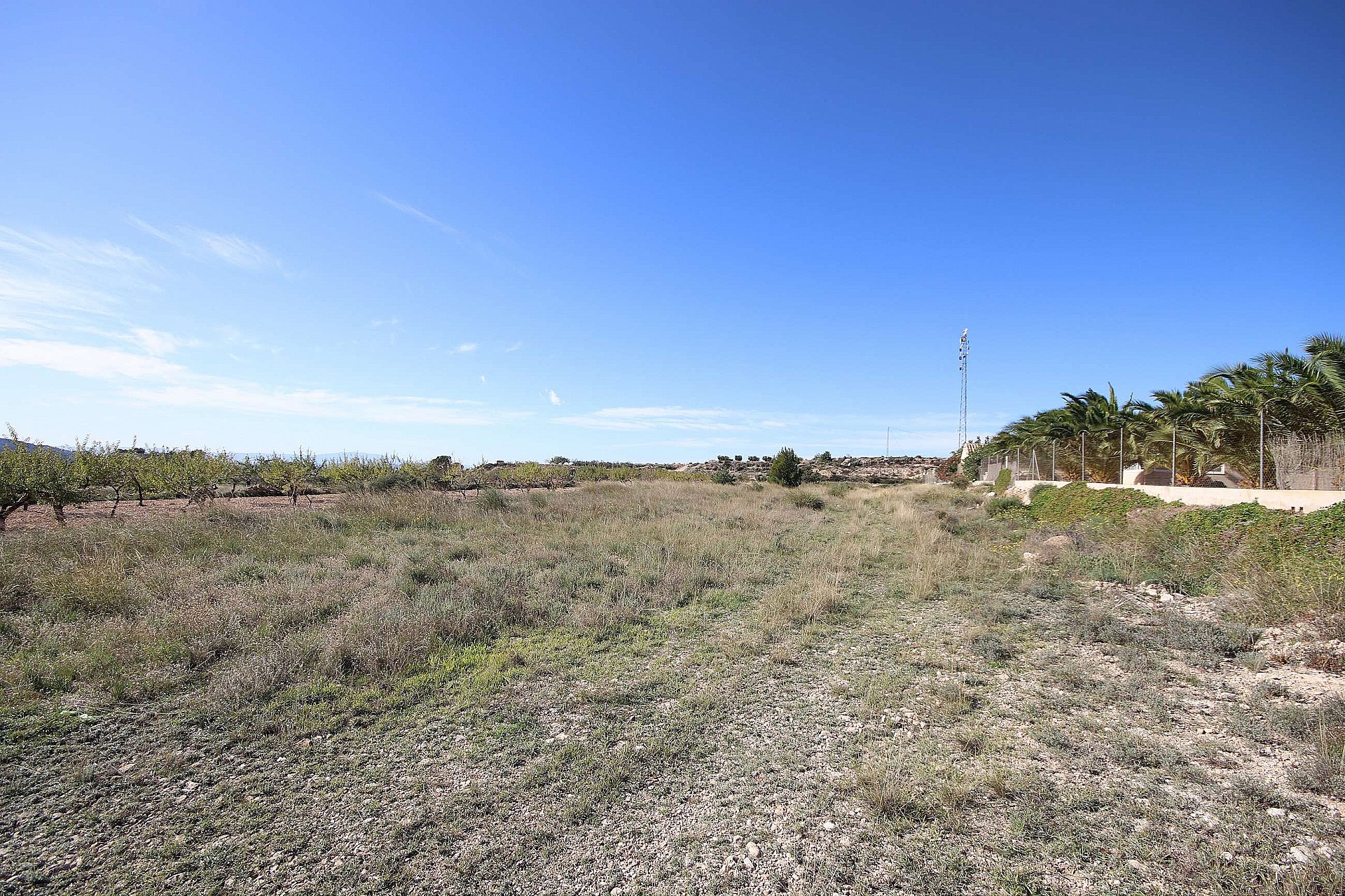 Plot en venta en Guardamar and surroundings 2