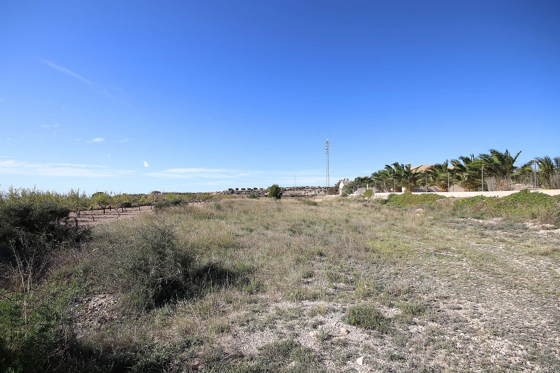 Plot en venta en Guardamar and surroundings 4