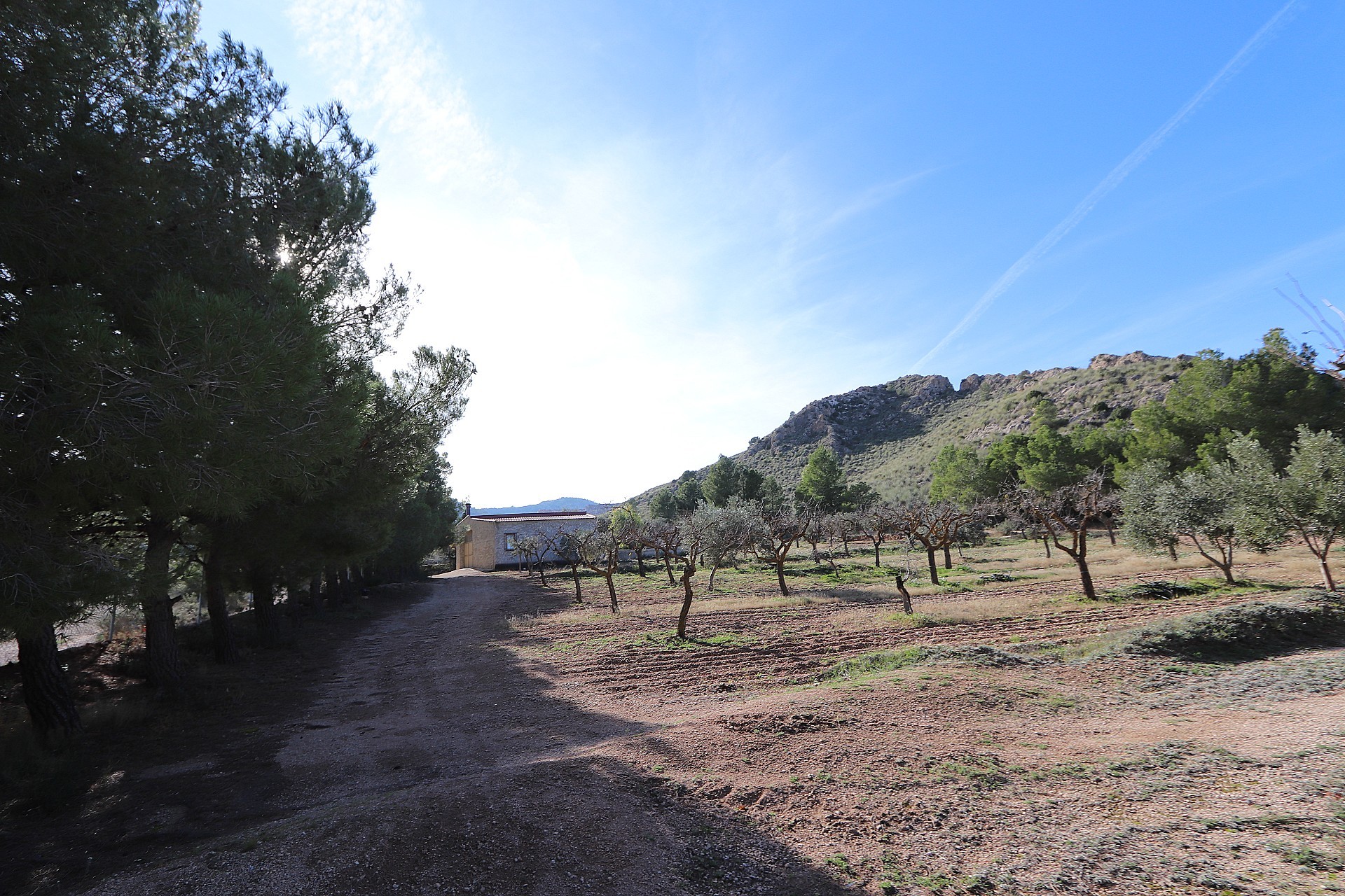 Chalé en venta en Guardamar and surroundings 7