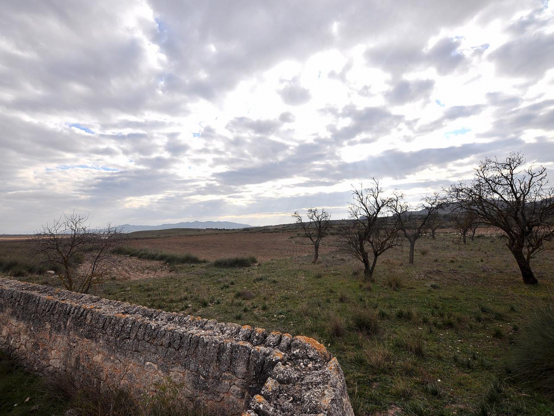 Landhaus zum Verkauf in Guardamar and surroundings 15