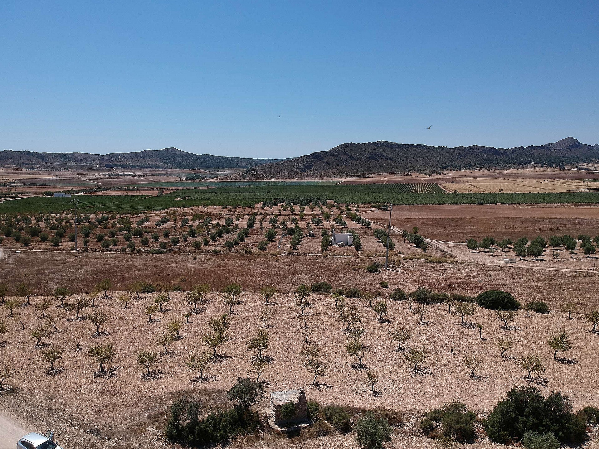 Plot à vendre à Guardamar and surroundings 3