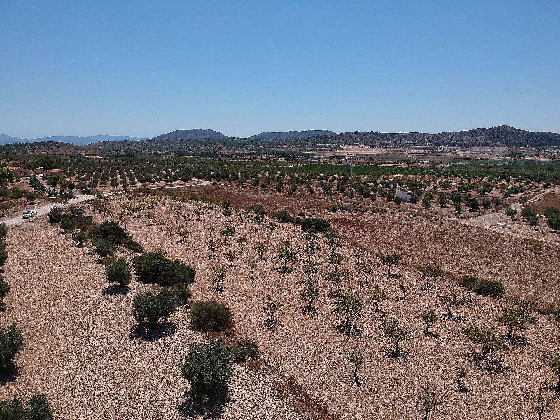 Plot à vendre à Guardamar and surroundings 8