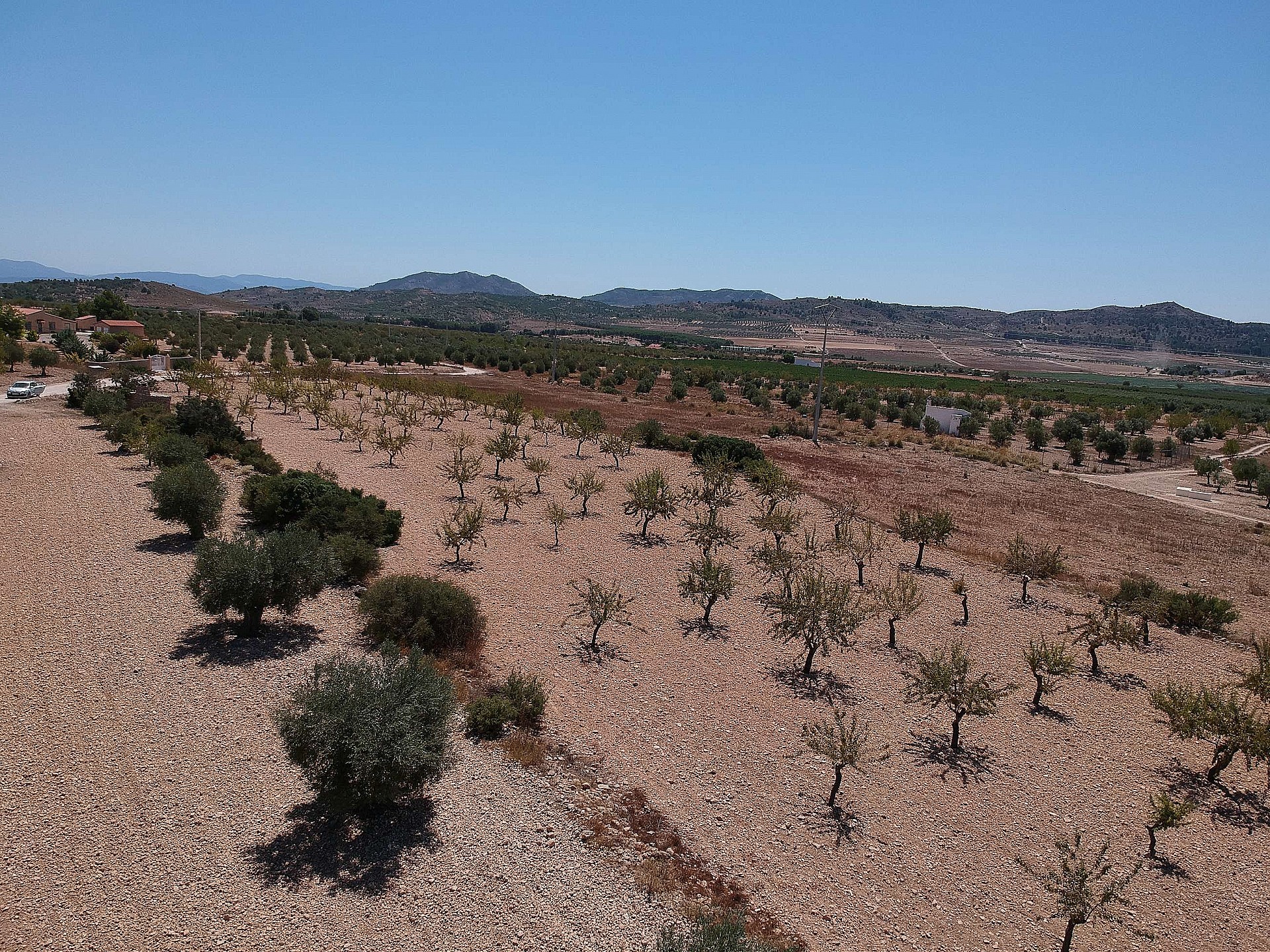 Plot à vendre à Guardamar and surroundings 9