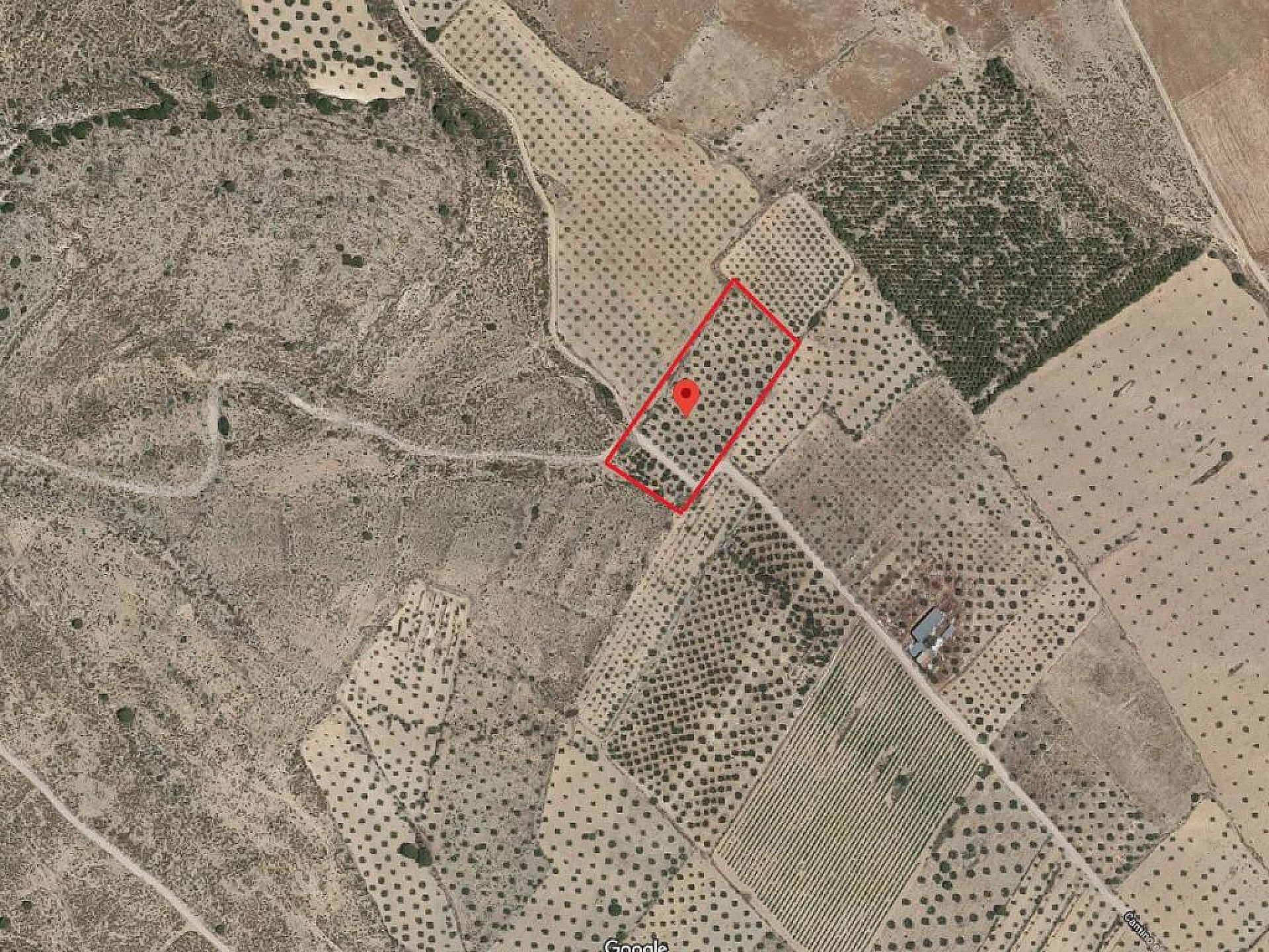 Plot for sale in Guardamar and surroundings 11