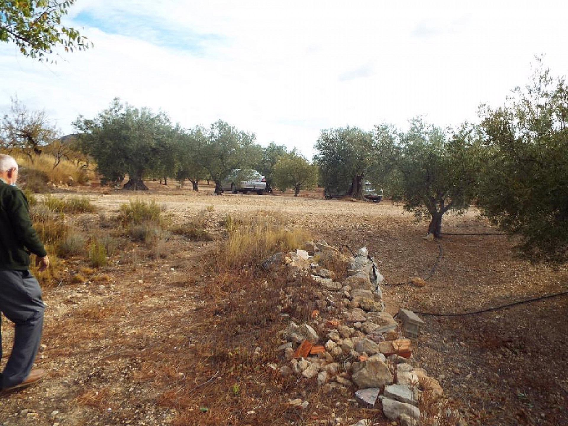 Plot for sale in Guardamar and surroundings 2