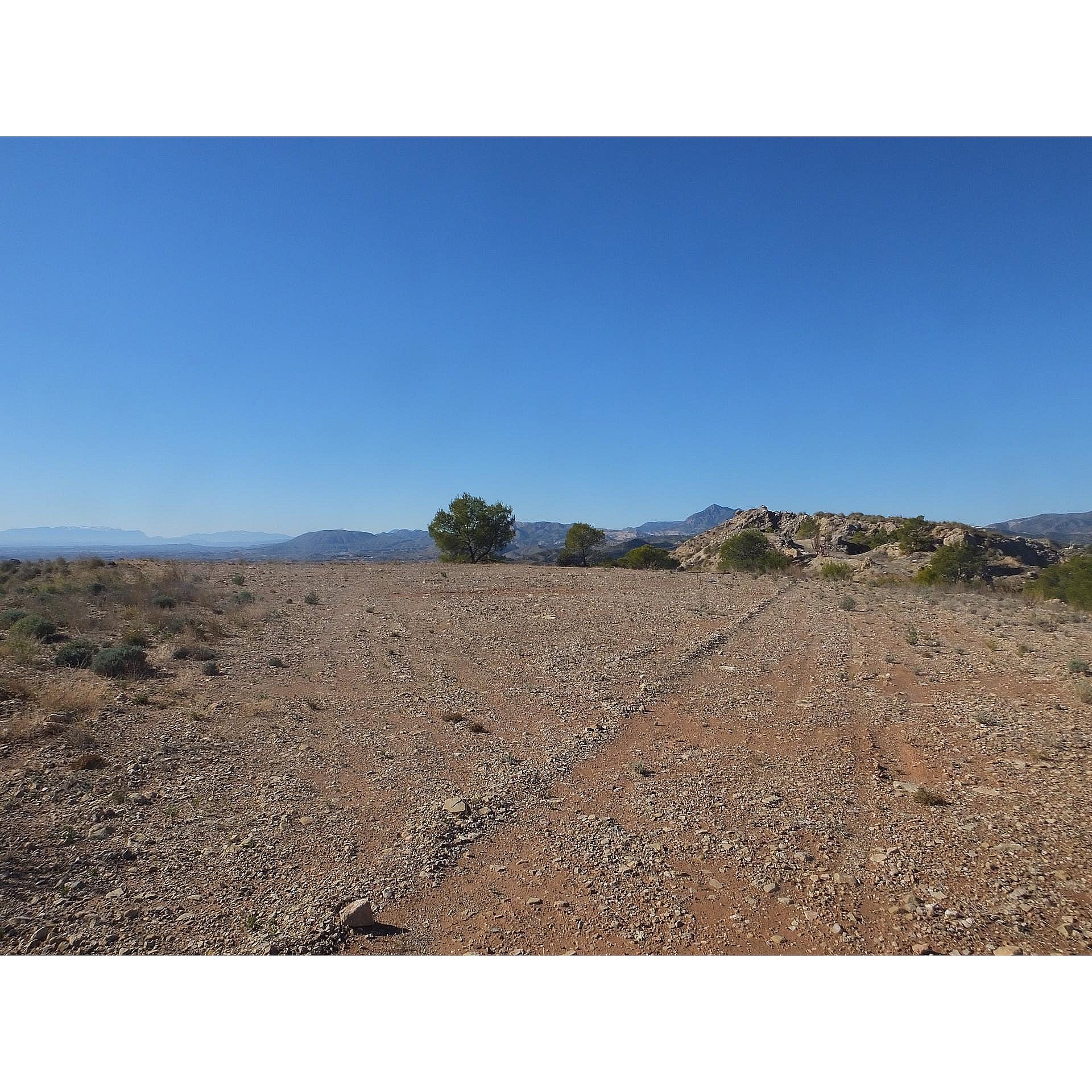 Plot for sale in Guardamar and surroundings 5