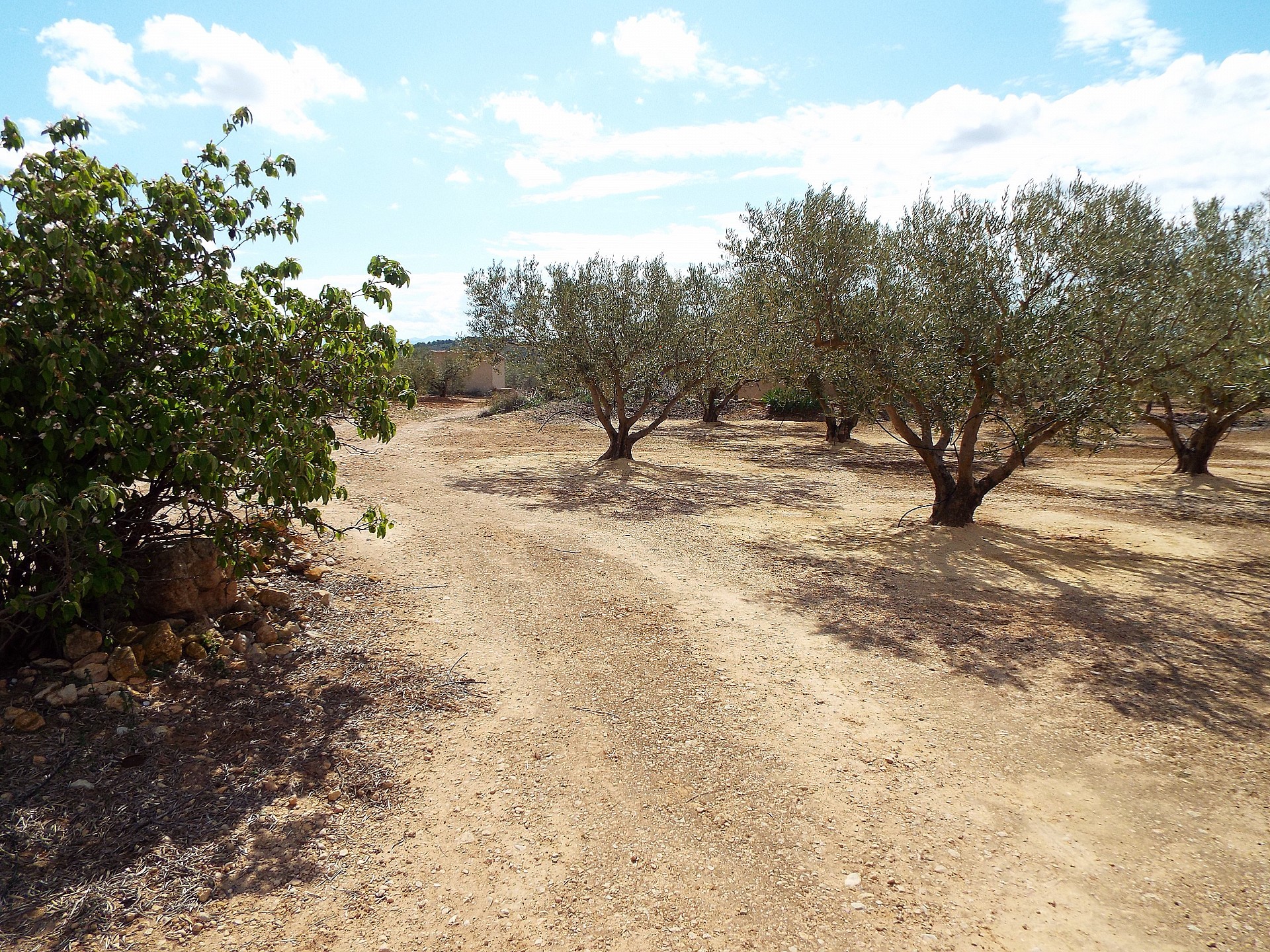 Villa à vendre à Guardamar and surroundings 38