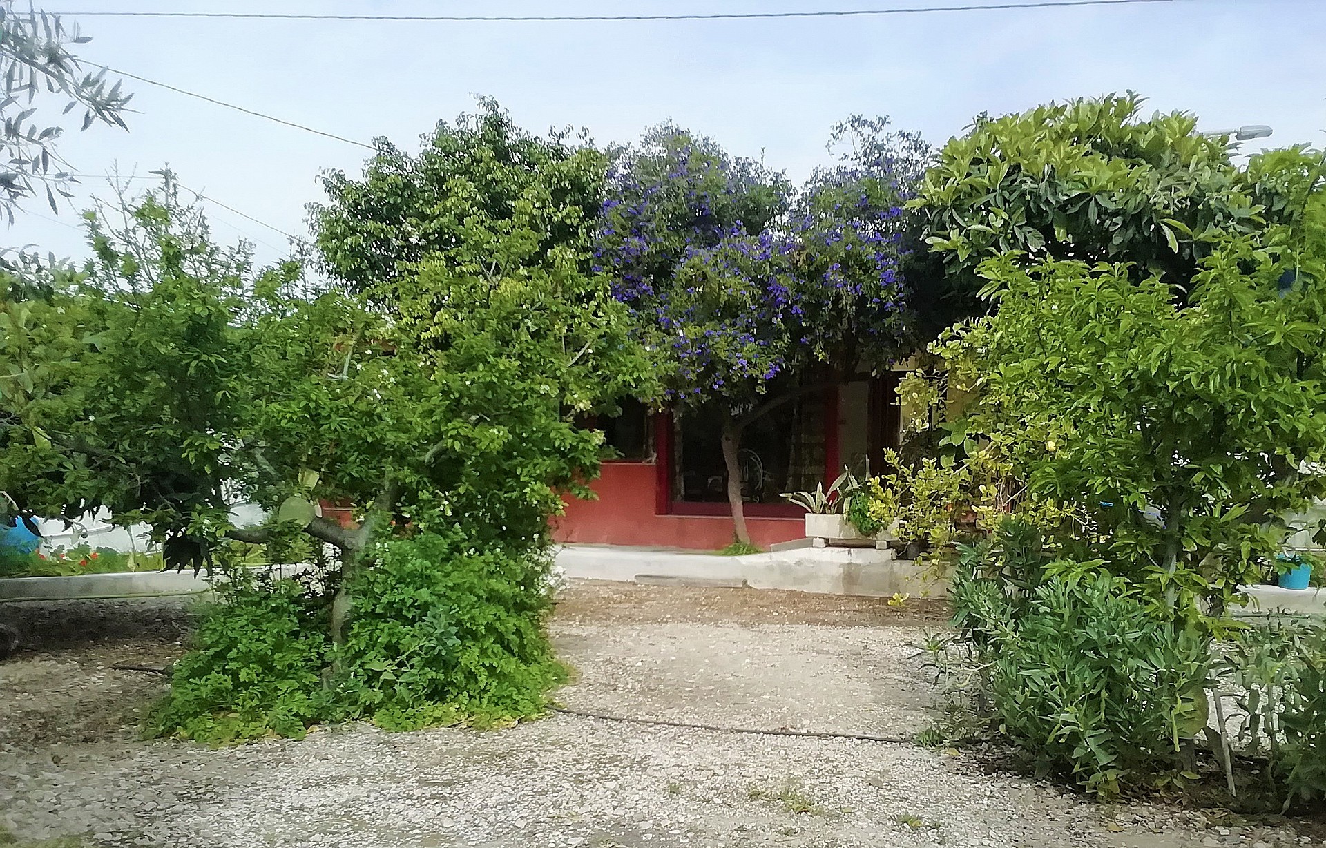 Villa te koop in Guardamar and surroundings 57