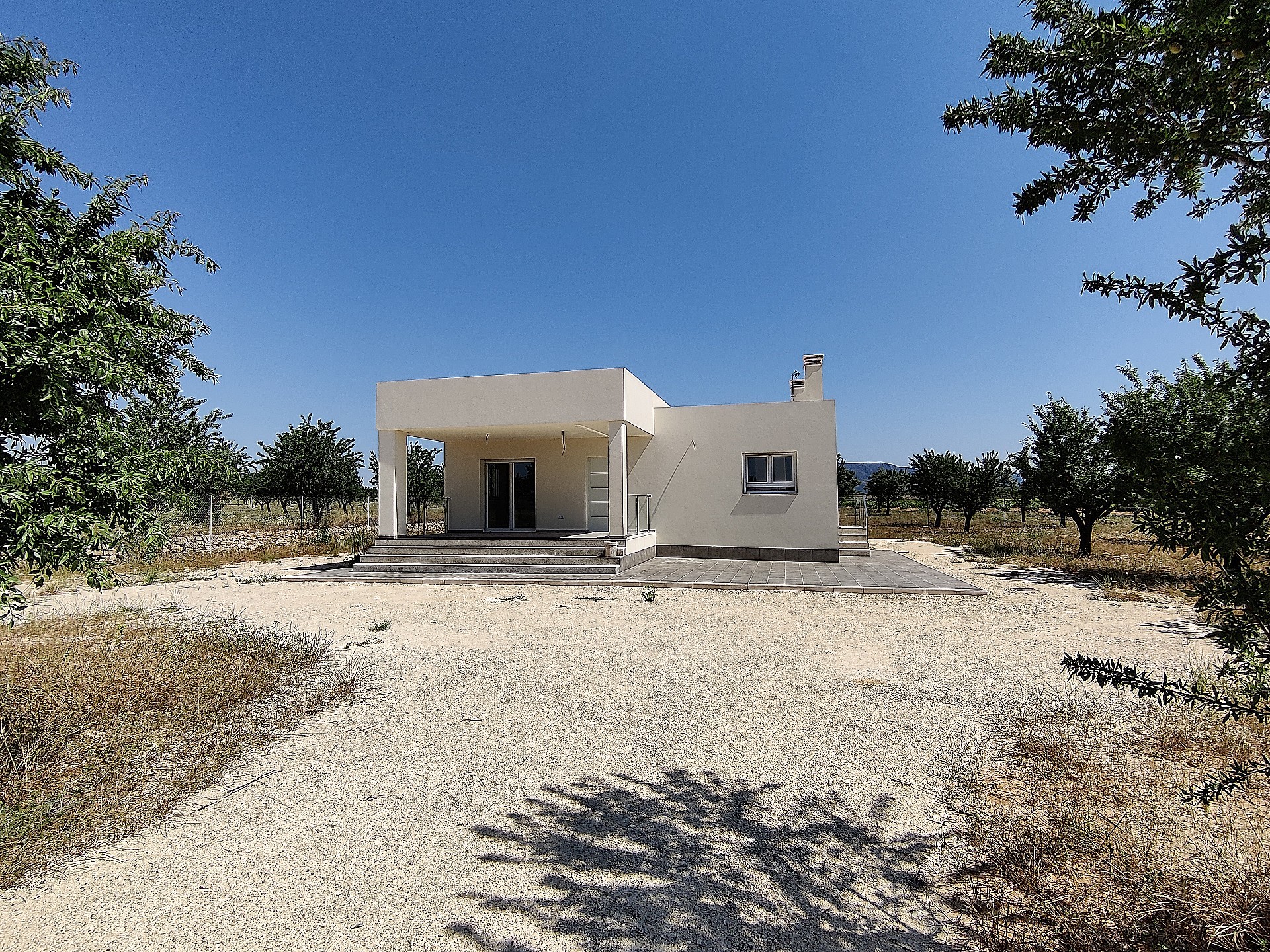 Property Image 519006-el-pinos-pinoso-villa-3-2