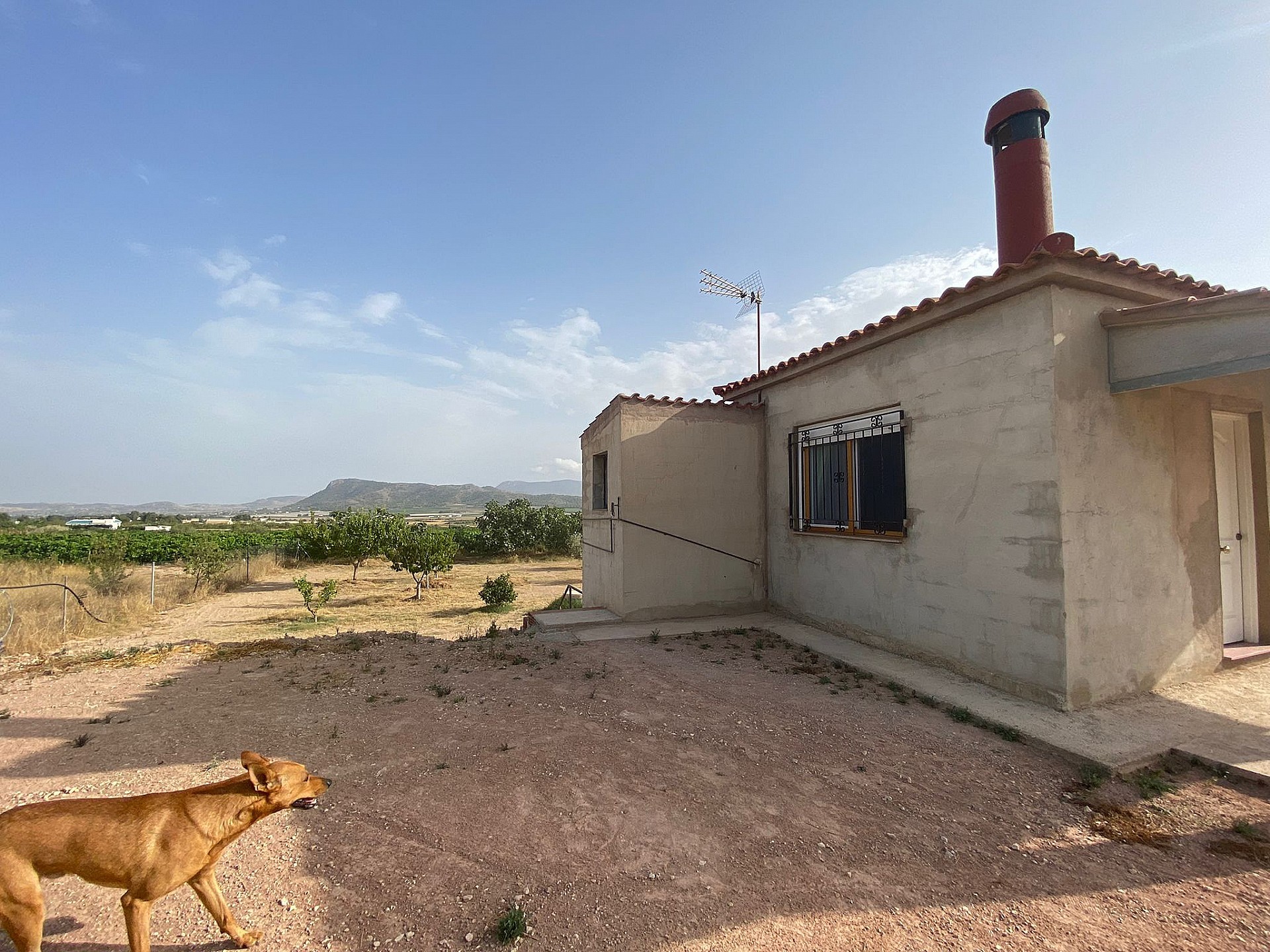 Landhaus zum Verkauf in Alicante 47