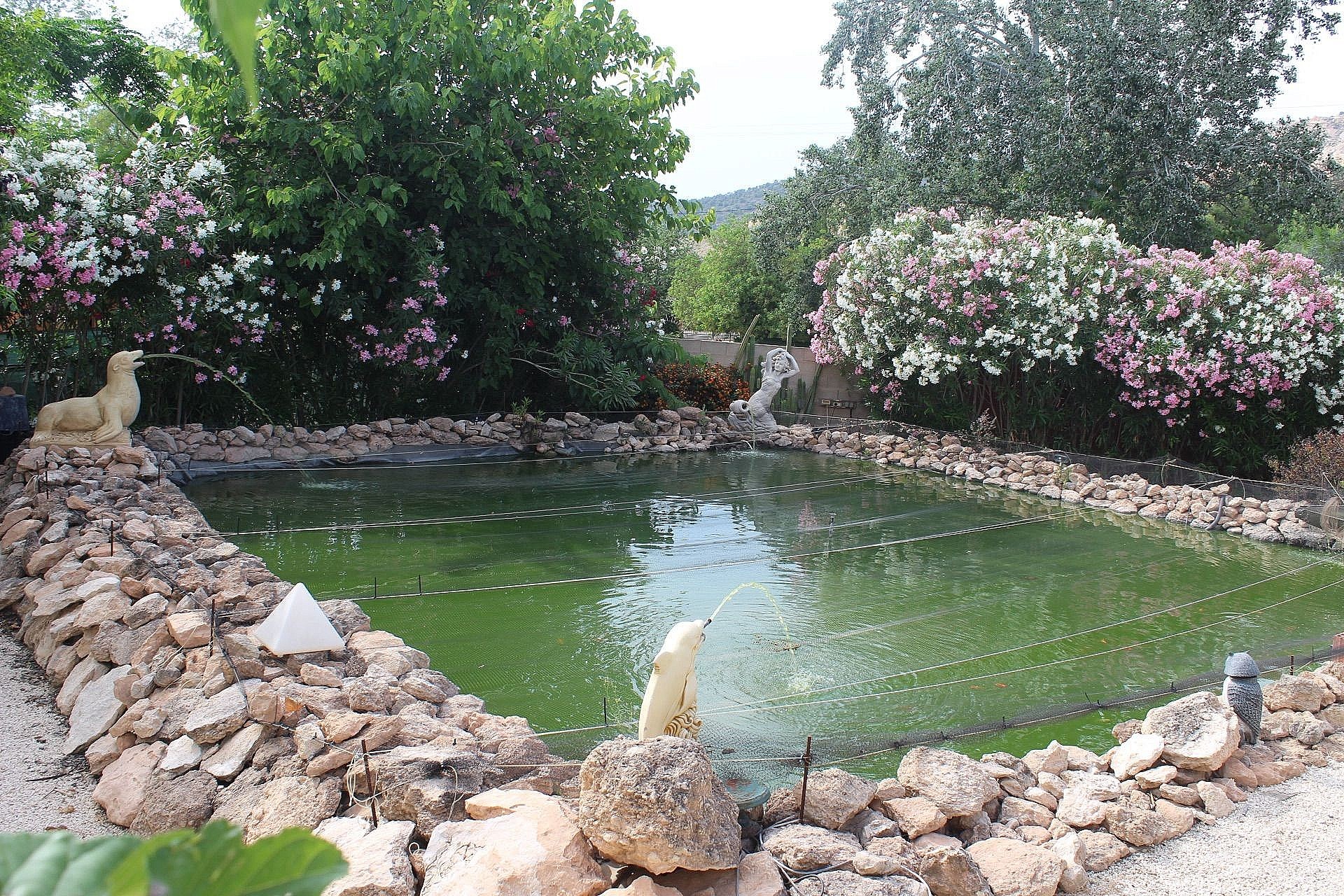 Villa à vendre à Alicante 2