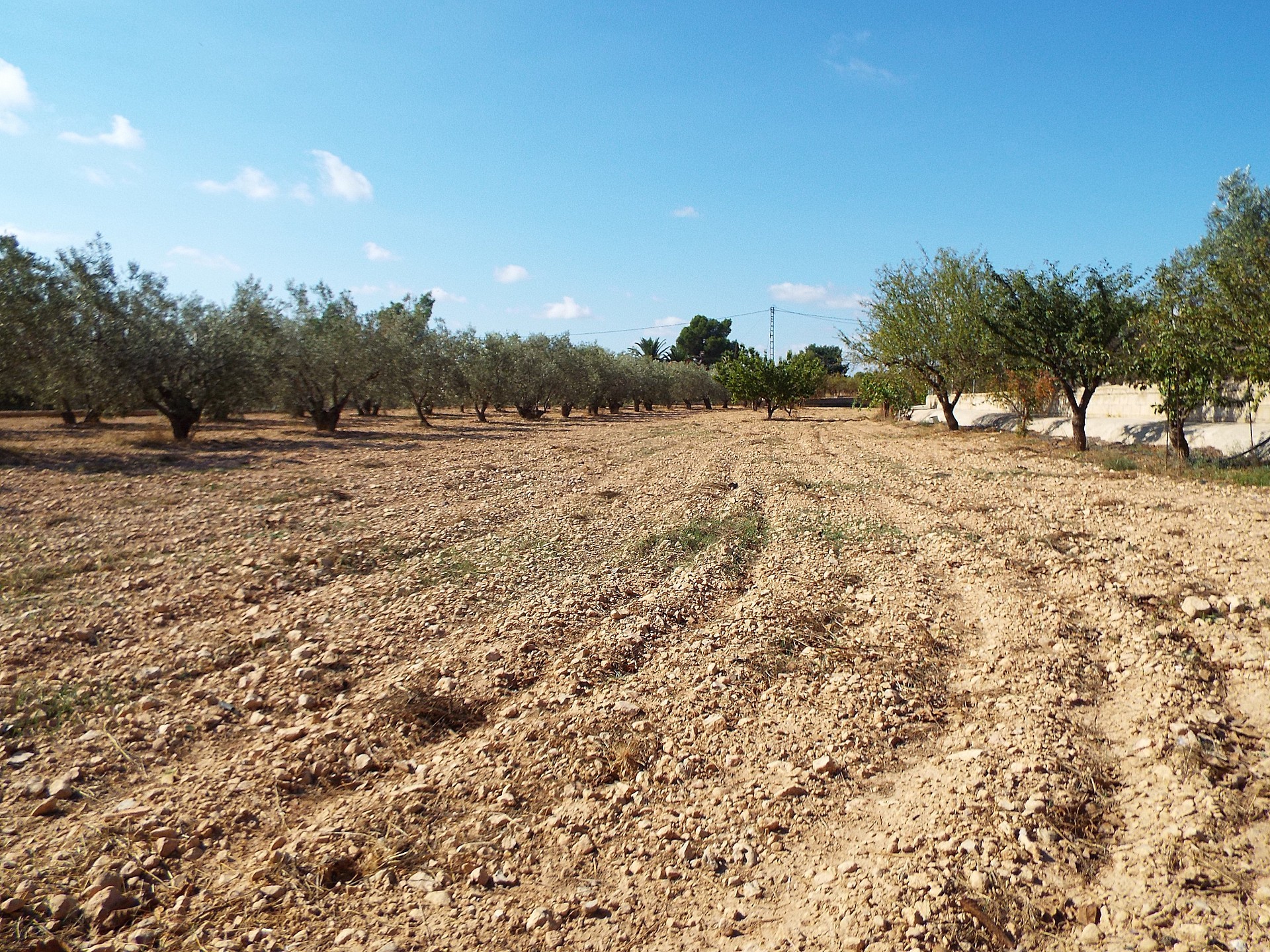 Maison de campagne à vendre à Guardamar and surroundings 43