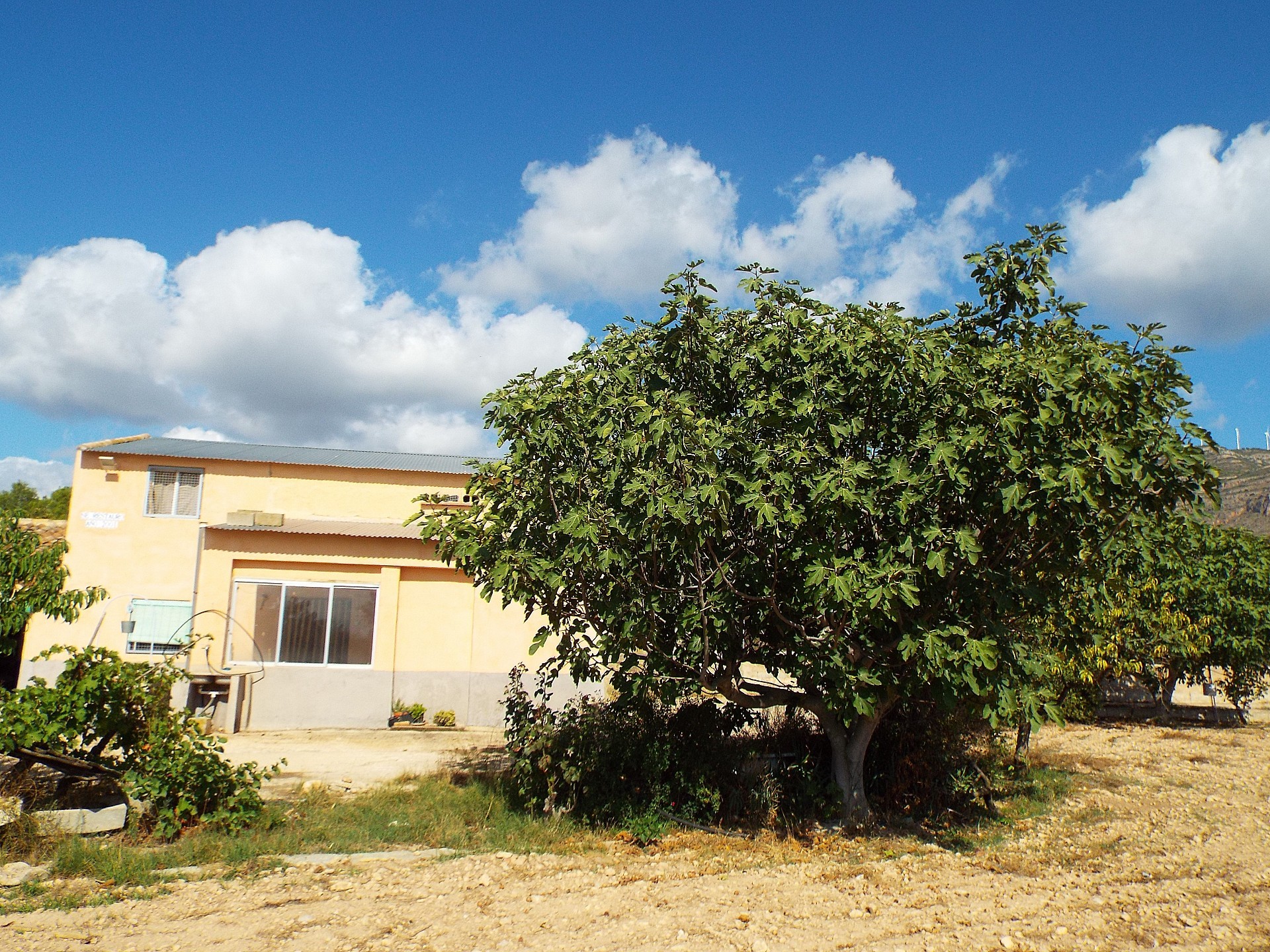 Maison de campagne à vendre à Guardamar and surroundings 56