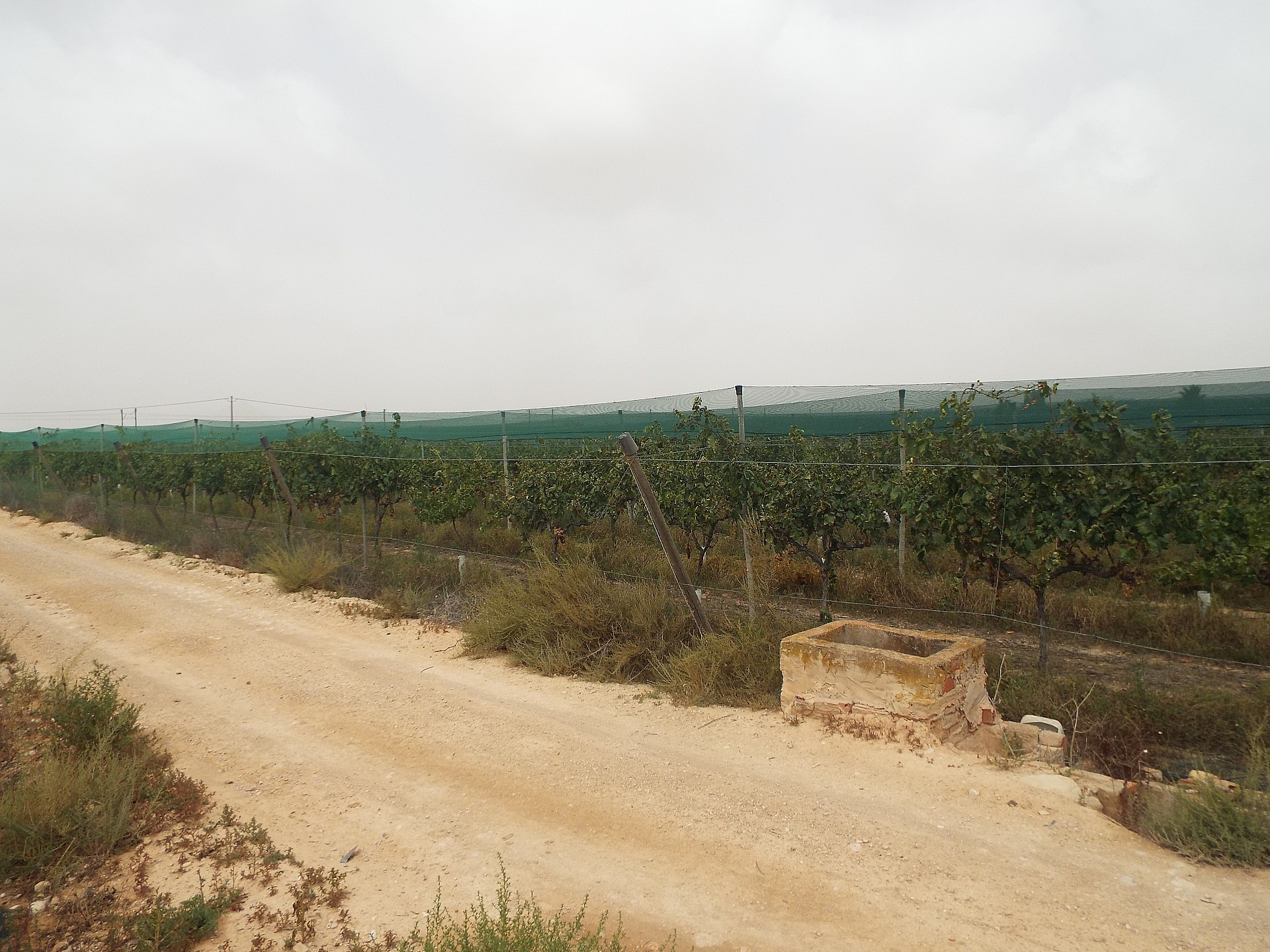 Plot for sale in Alicante 13