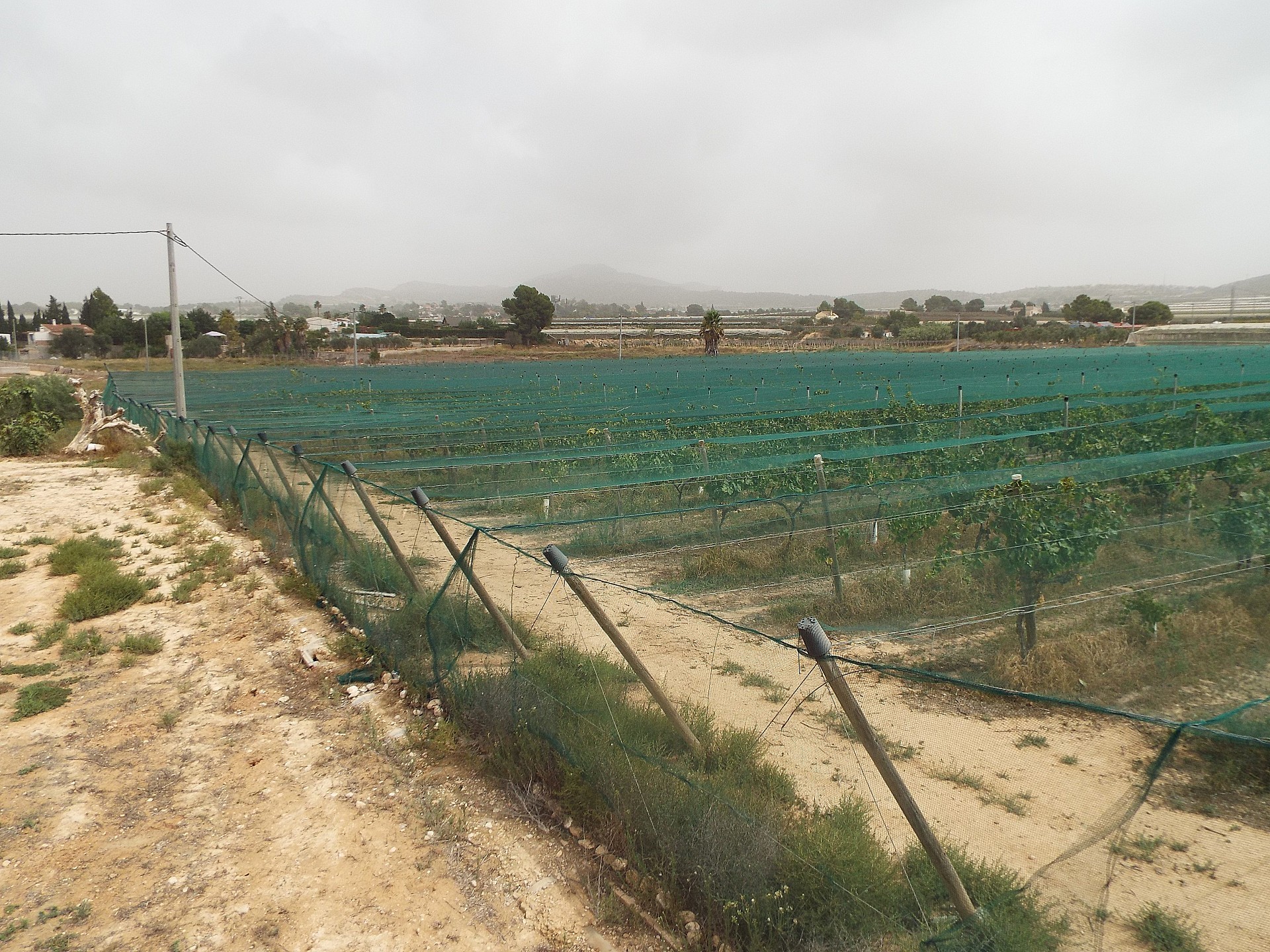 Plot for sale in Alicante 2