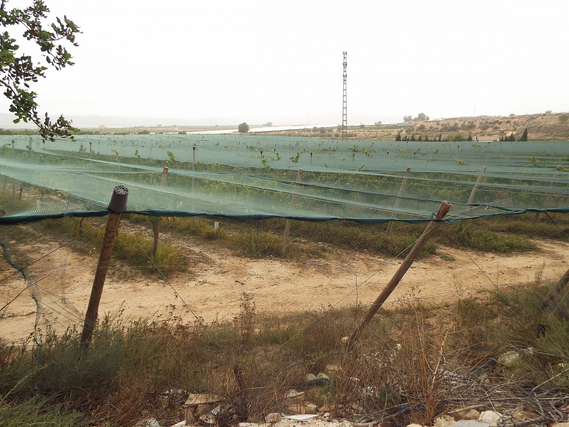 Plot à vendre à Alicante 11