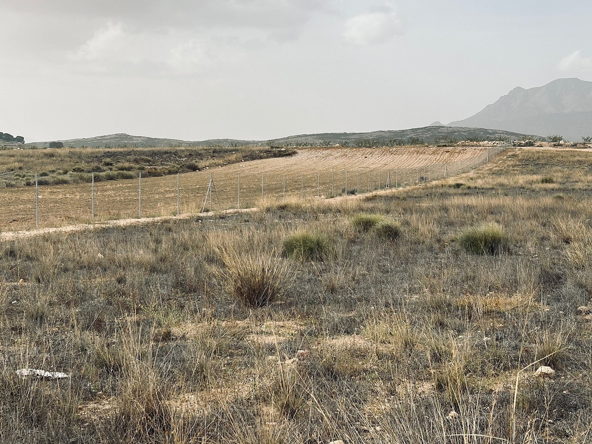 Размер собственного участка для продажи в Guardamar and surroundings 3