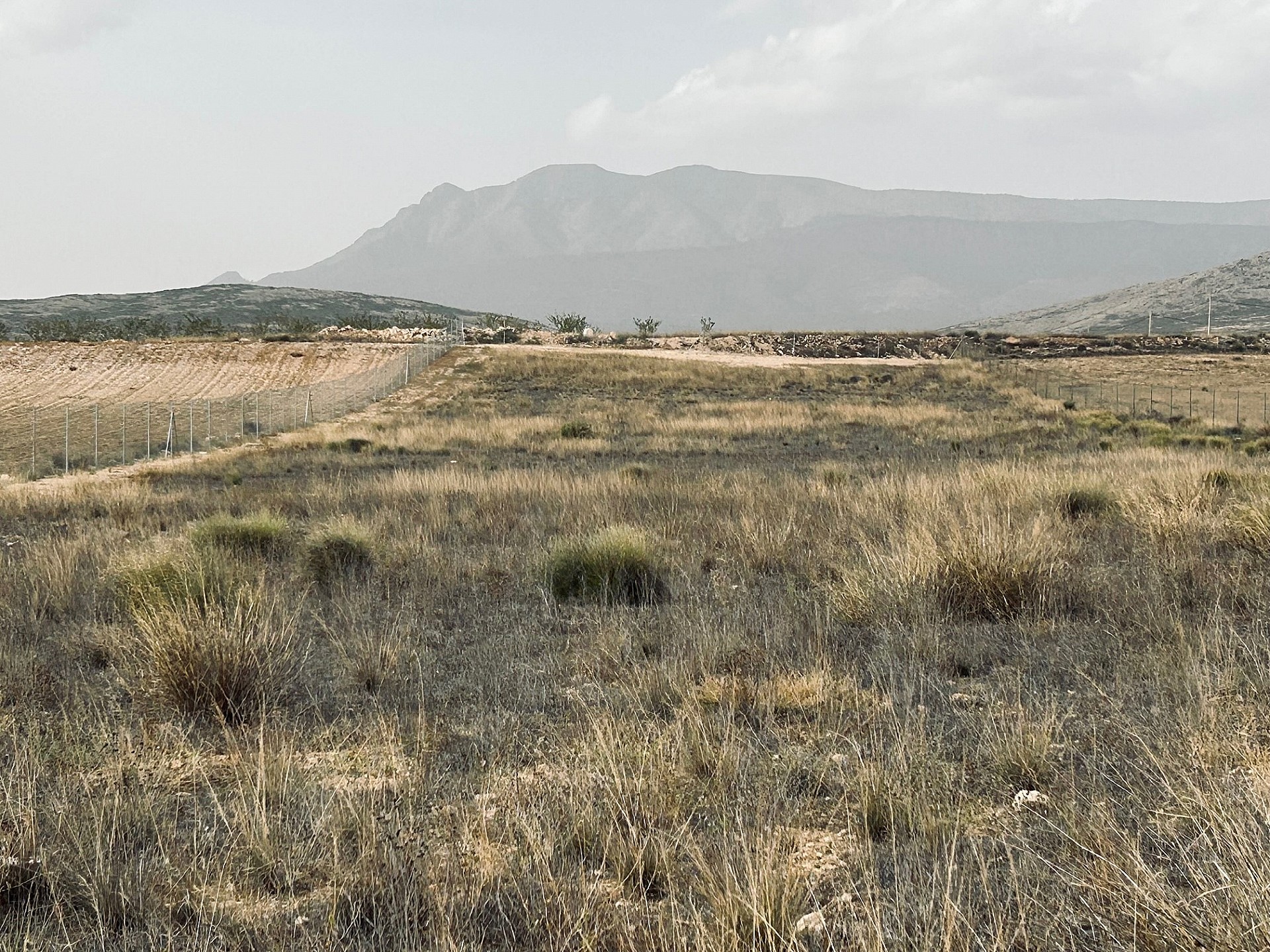 Plot à vendre à Guardamar and surroundings 6