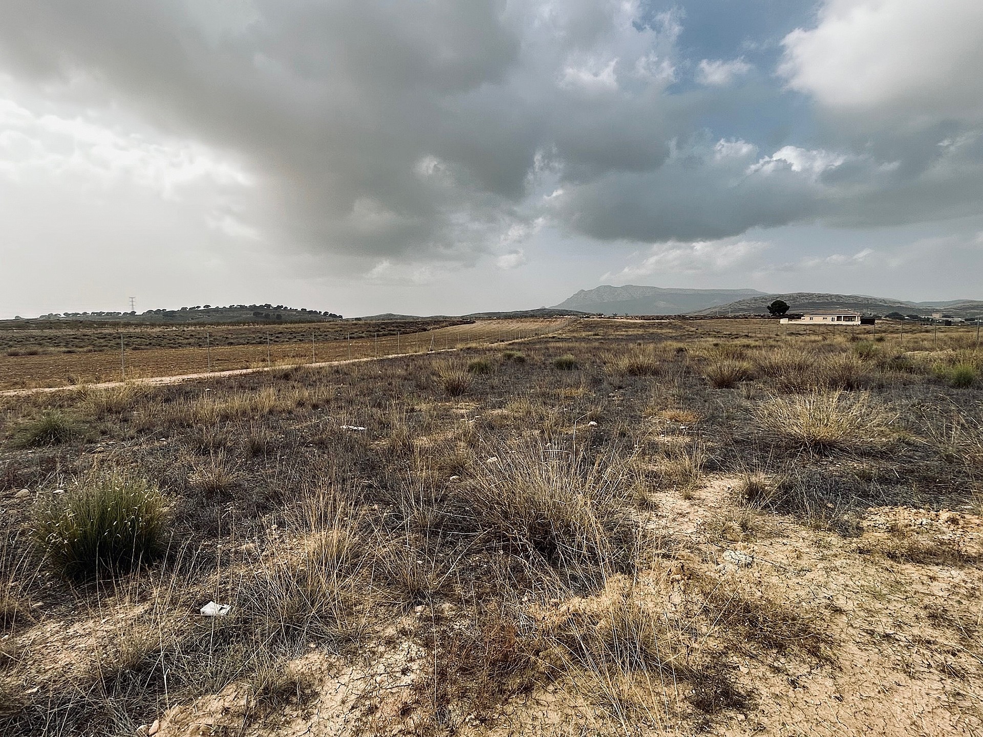 Plot à vendre à Guardamar and surroundings 8