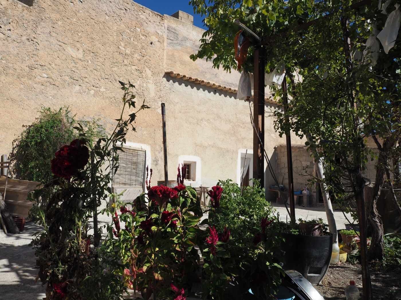 Villa for sale in Granada and surroundings 6