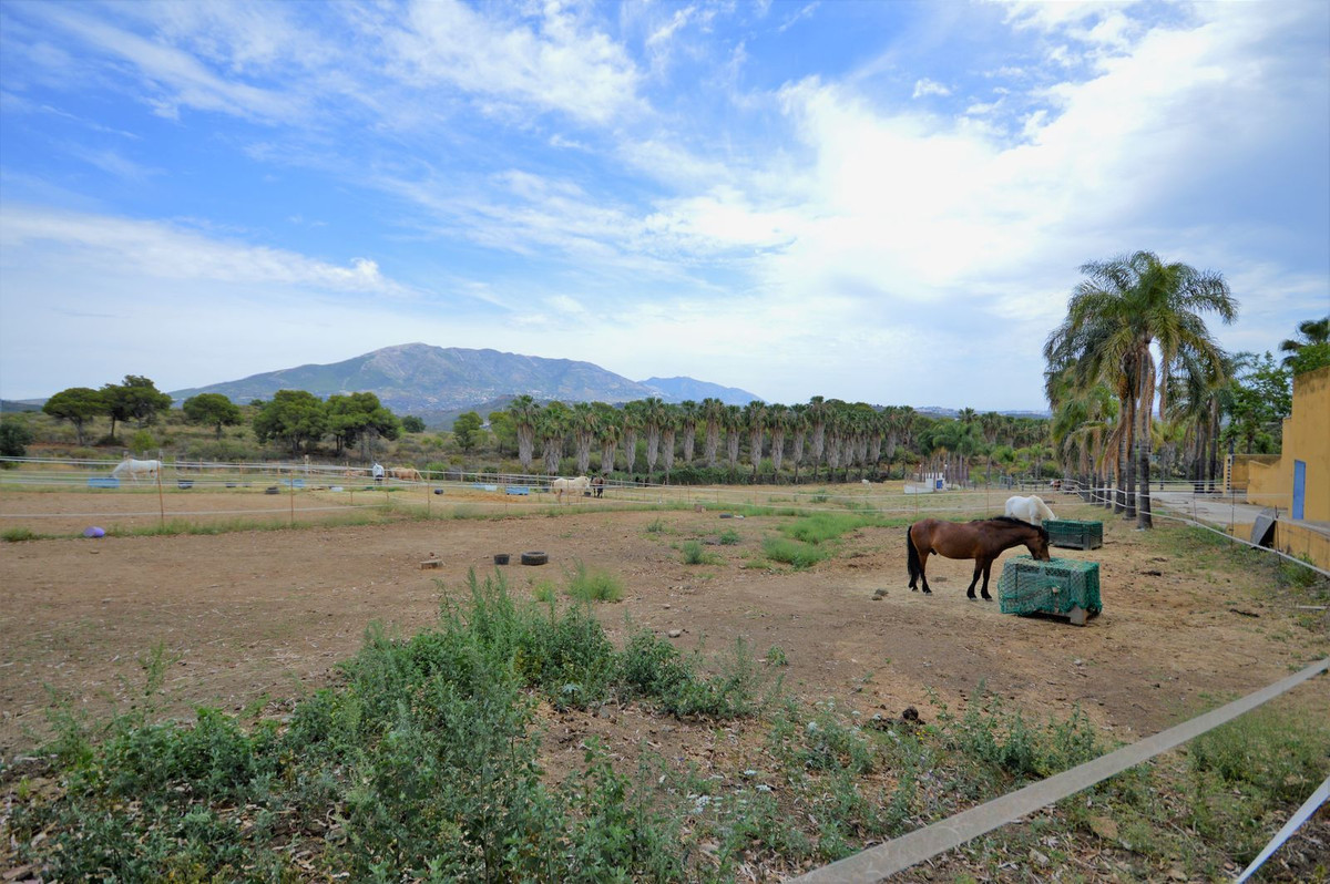 Countryhome te koop in Mijas 21