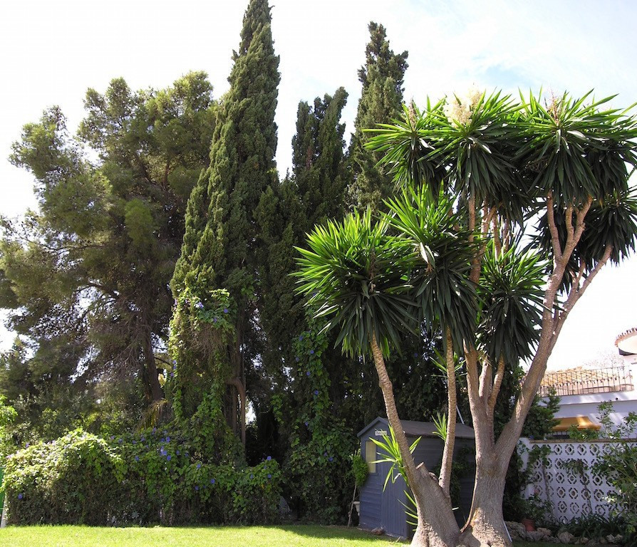 Villa for sale in Marbella - San Pedro and Guadalmina 24